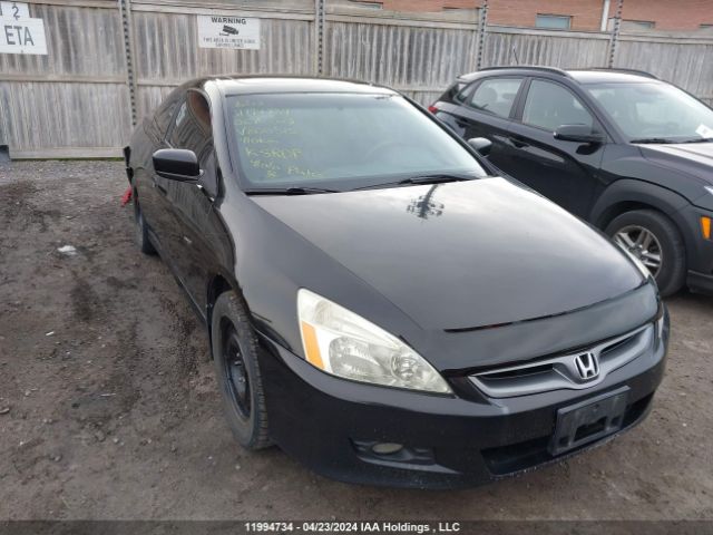 Auction sale of the 2006 Honda Accord Cpe, vin: 1HGCM81606A800515, lot number: 11994734