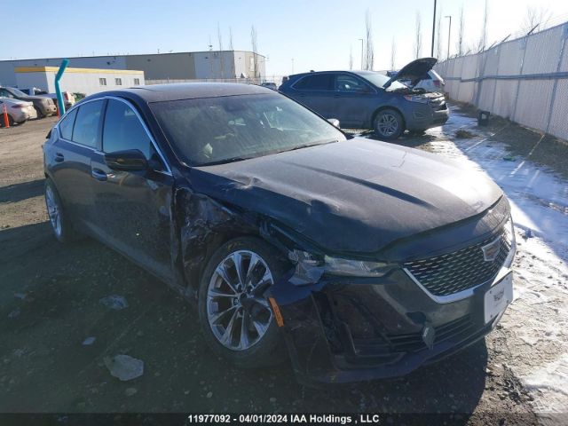 Auction sale of the 2020 Cadillac Ct5, vin: 1G6DT5RK7L0128009, lot number: 11977092