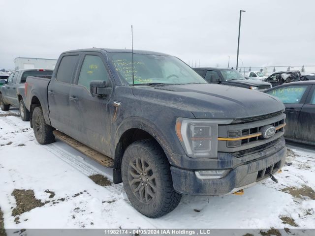 Auction sale of the 2023 Ford F-150 Tremor, vin: 1FTEW1E82PFA33551, lot number: 11982174