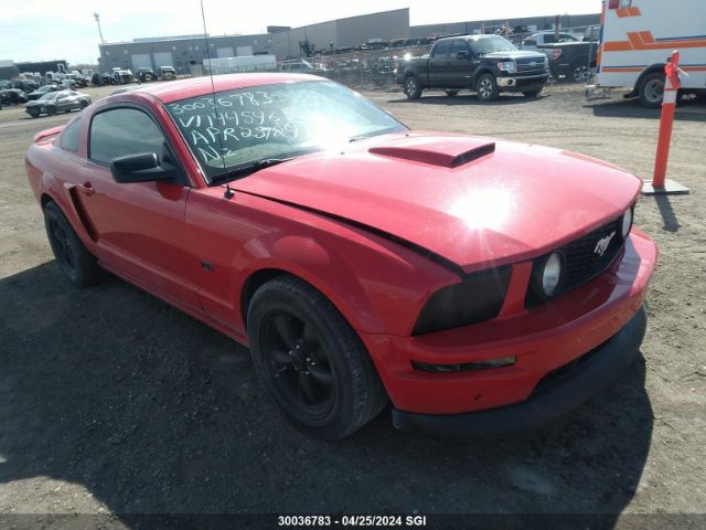 Auction sale of the 2008 Ford Mustang Gt, vin: 1ZVHT82H685144546, lot number: 30036783