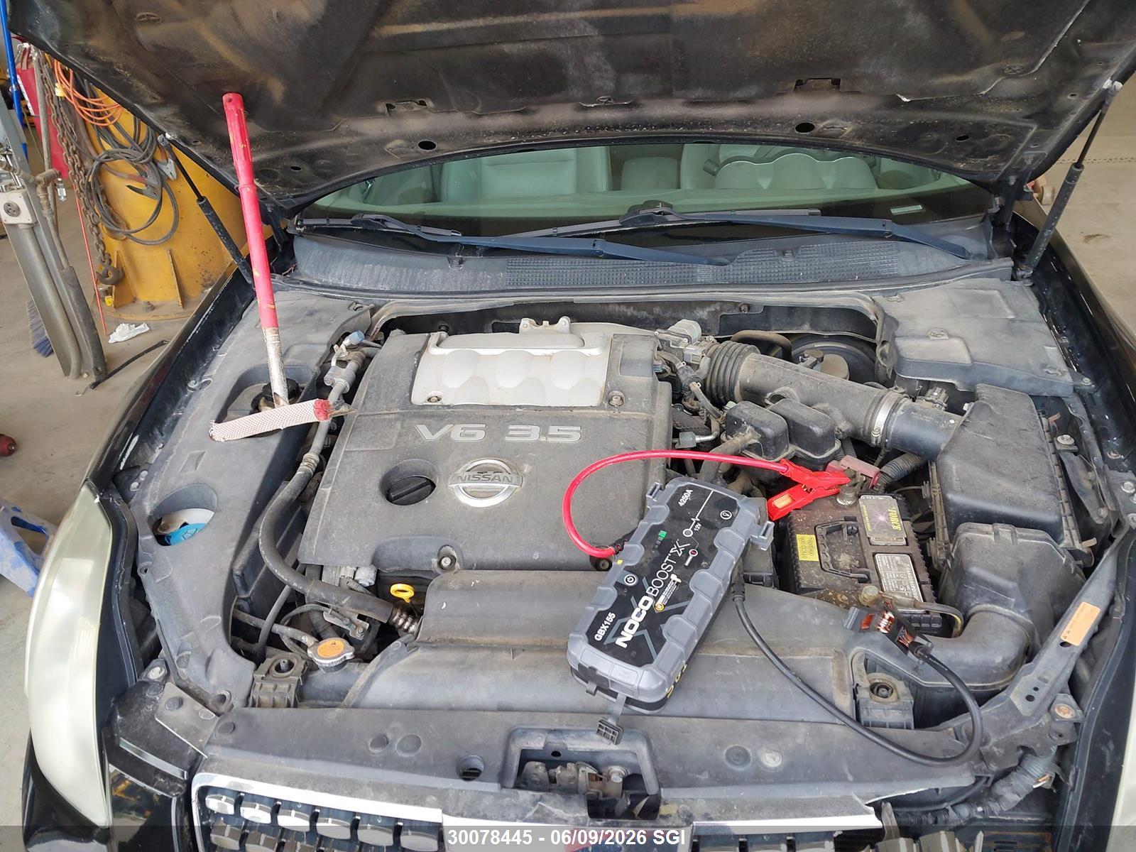 NISSAN MAXIMA image 10