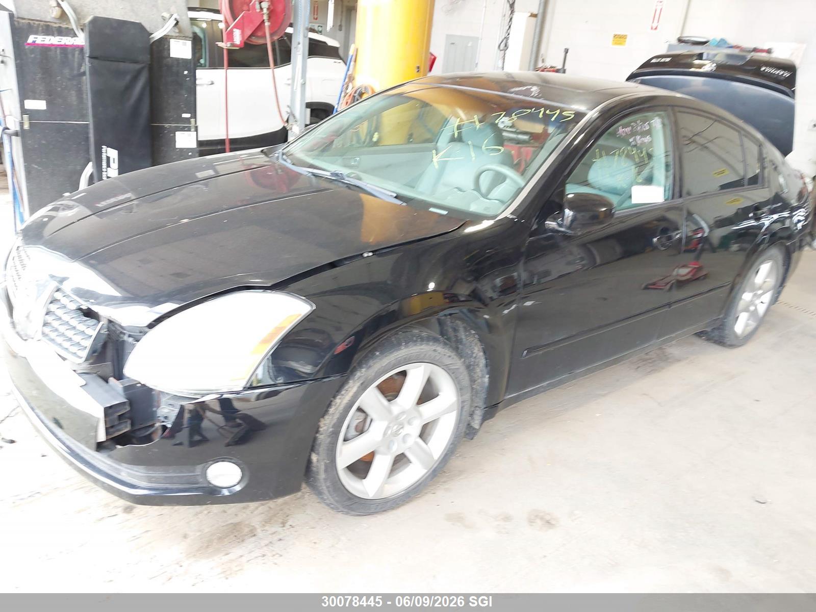 NISSAN MAXIMA image 2