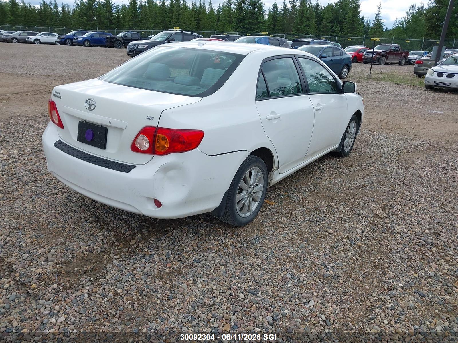 TOYOTA COROLLA image 4