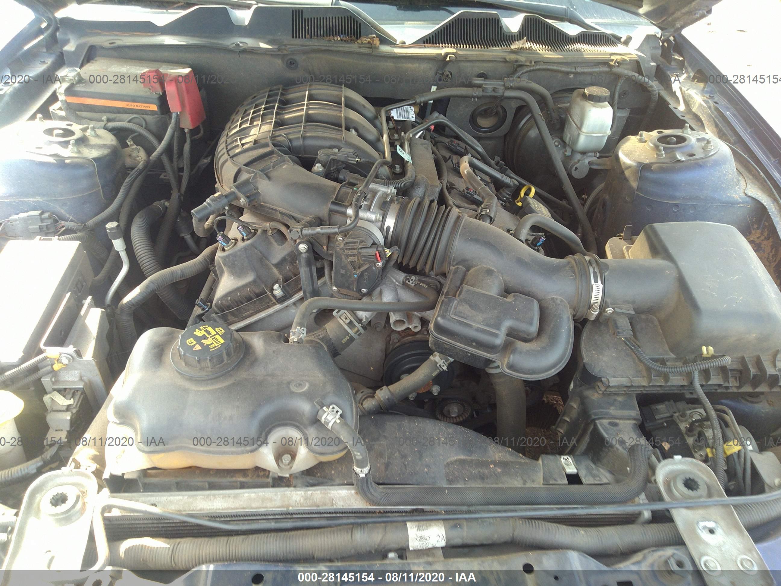 FORD MUSTANG image 10