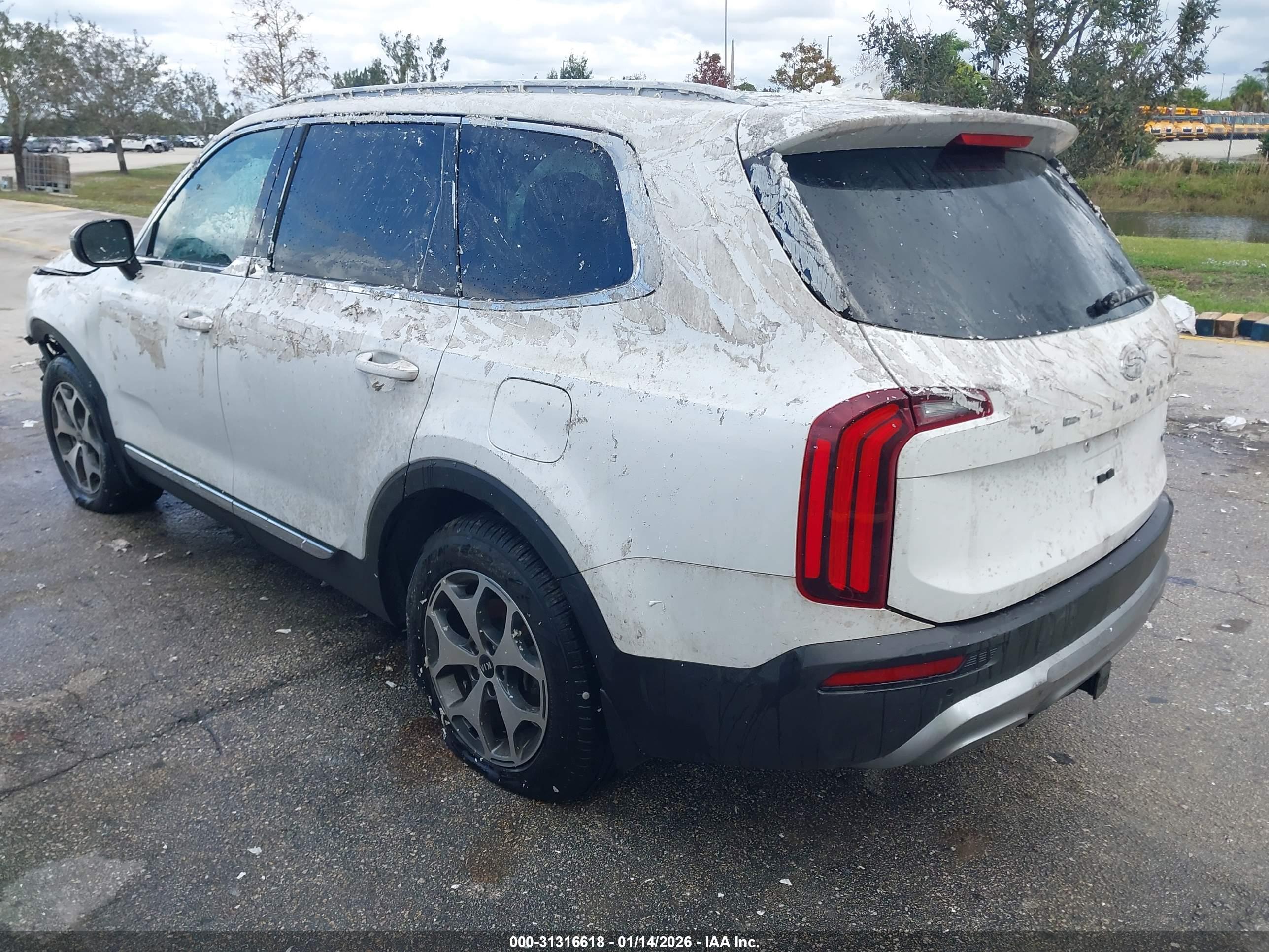 KIA TELLURIDE image 3