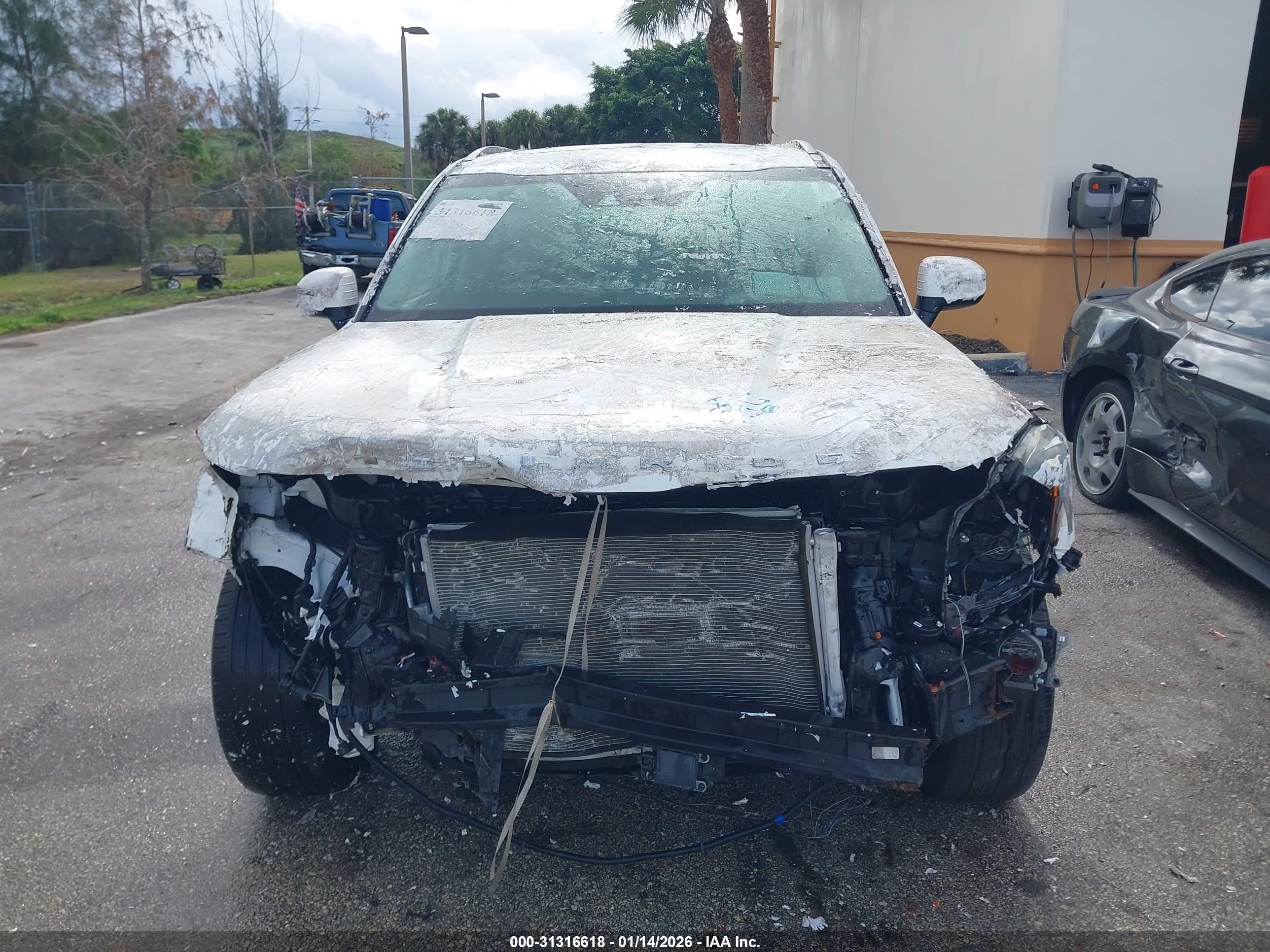 KIA TELLURIDE image 6