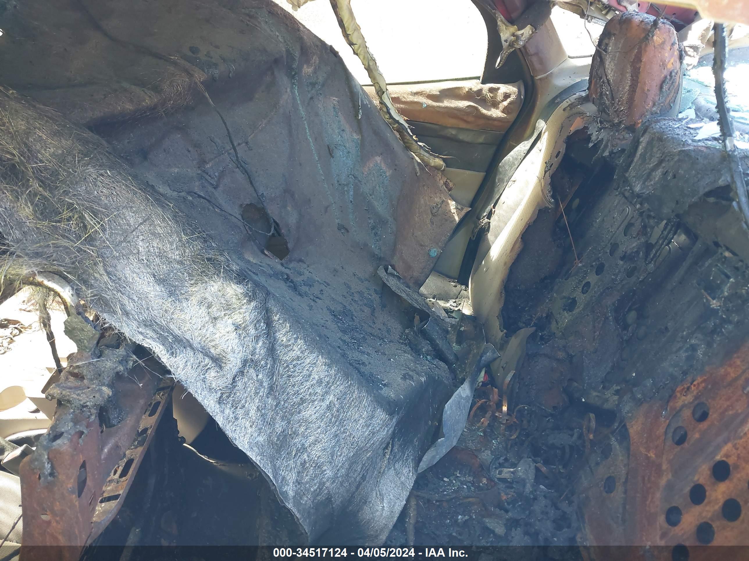 FORD FOCUS image 8
