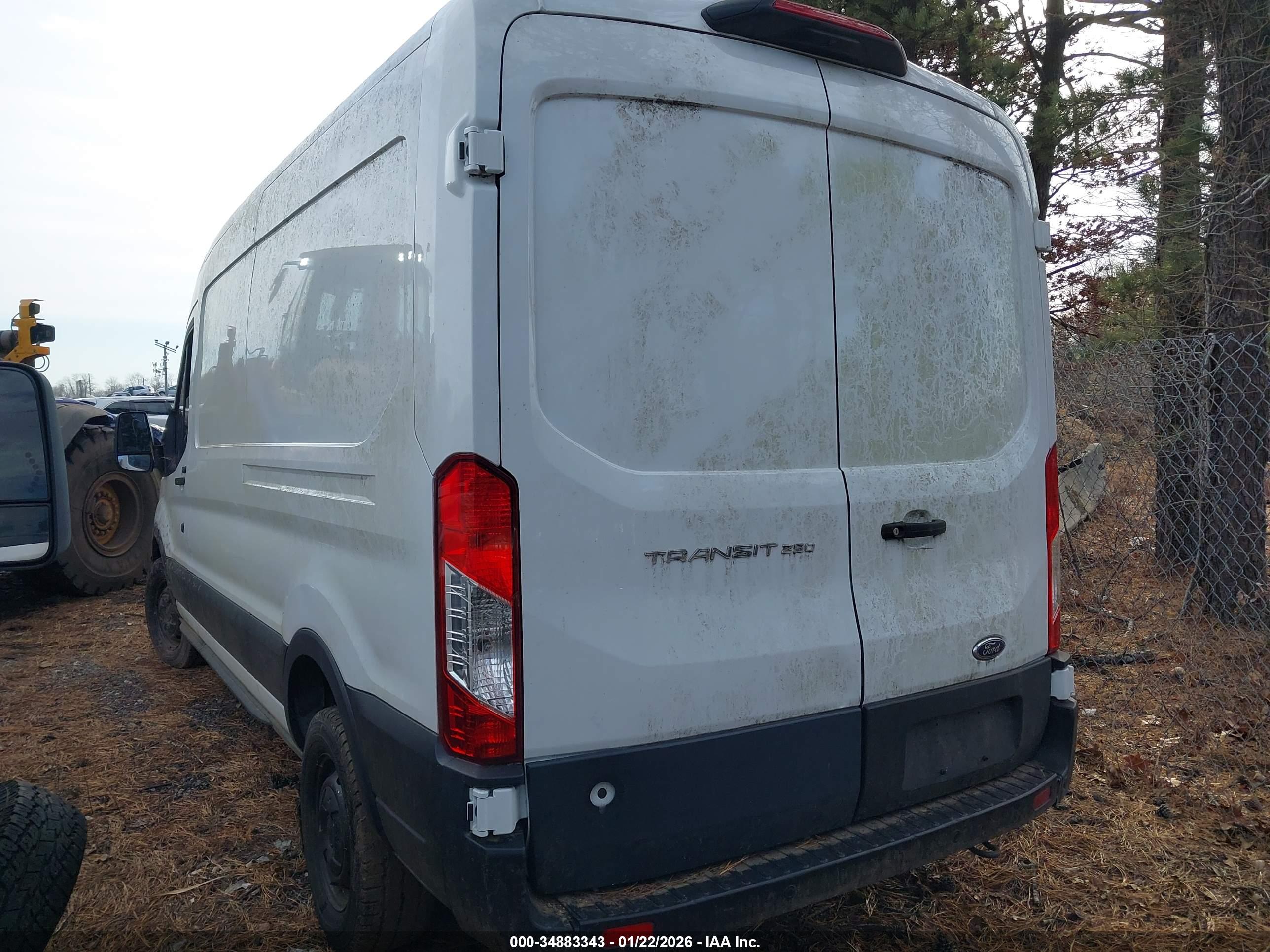 FORD TRANSIT-250 image 3