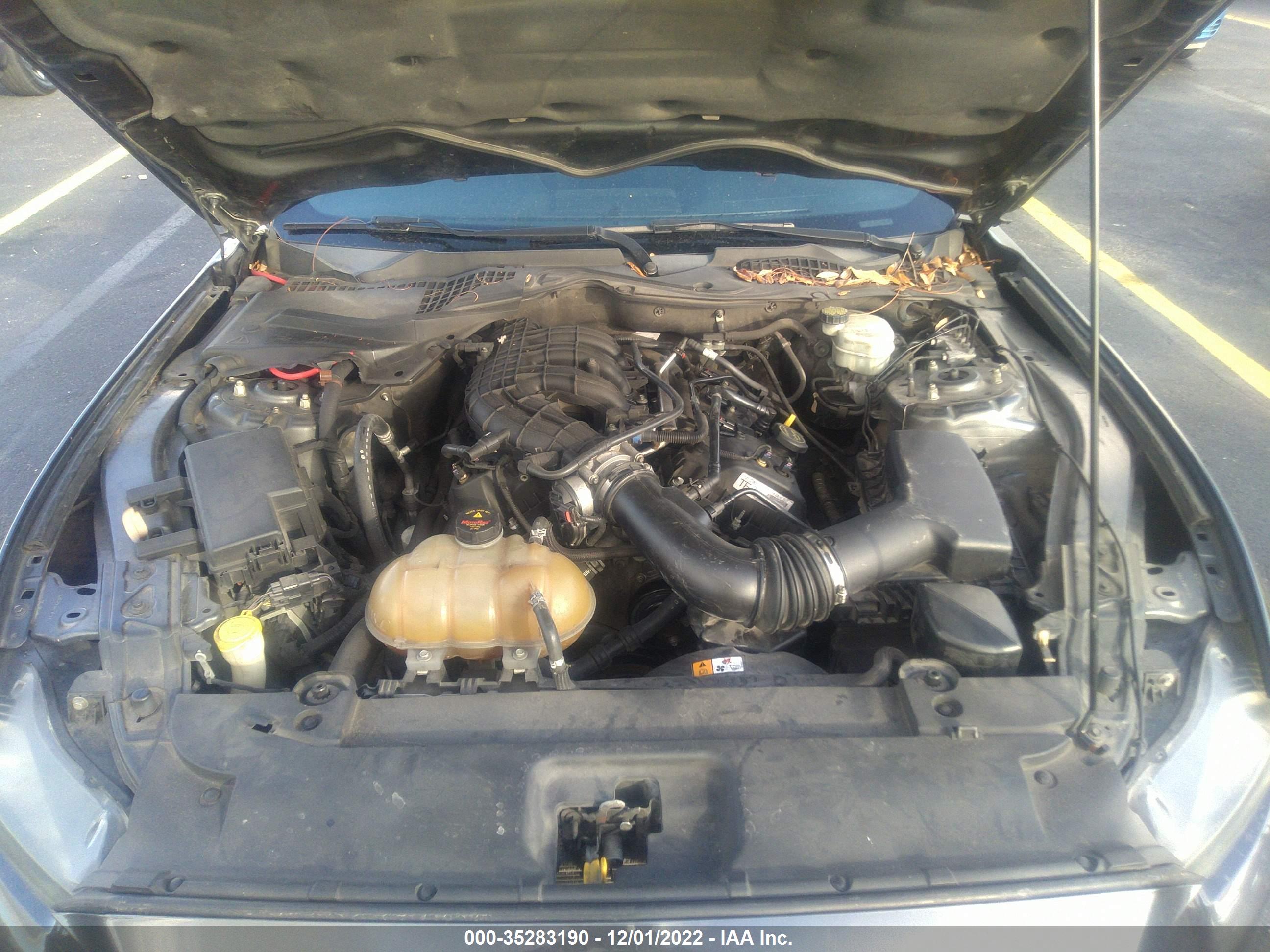 FORD MUSTANG image 10