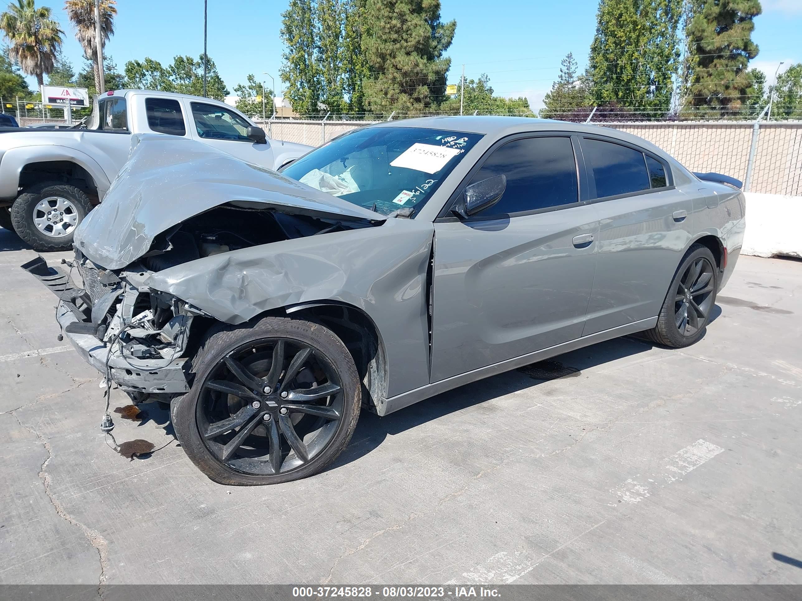 DODGE CHARGER image 2