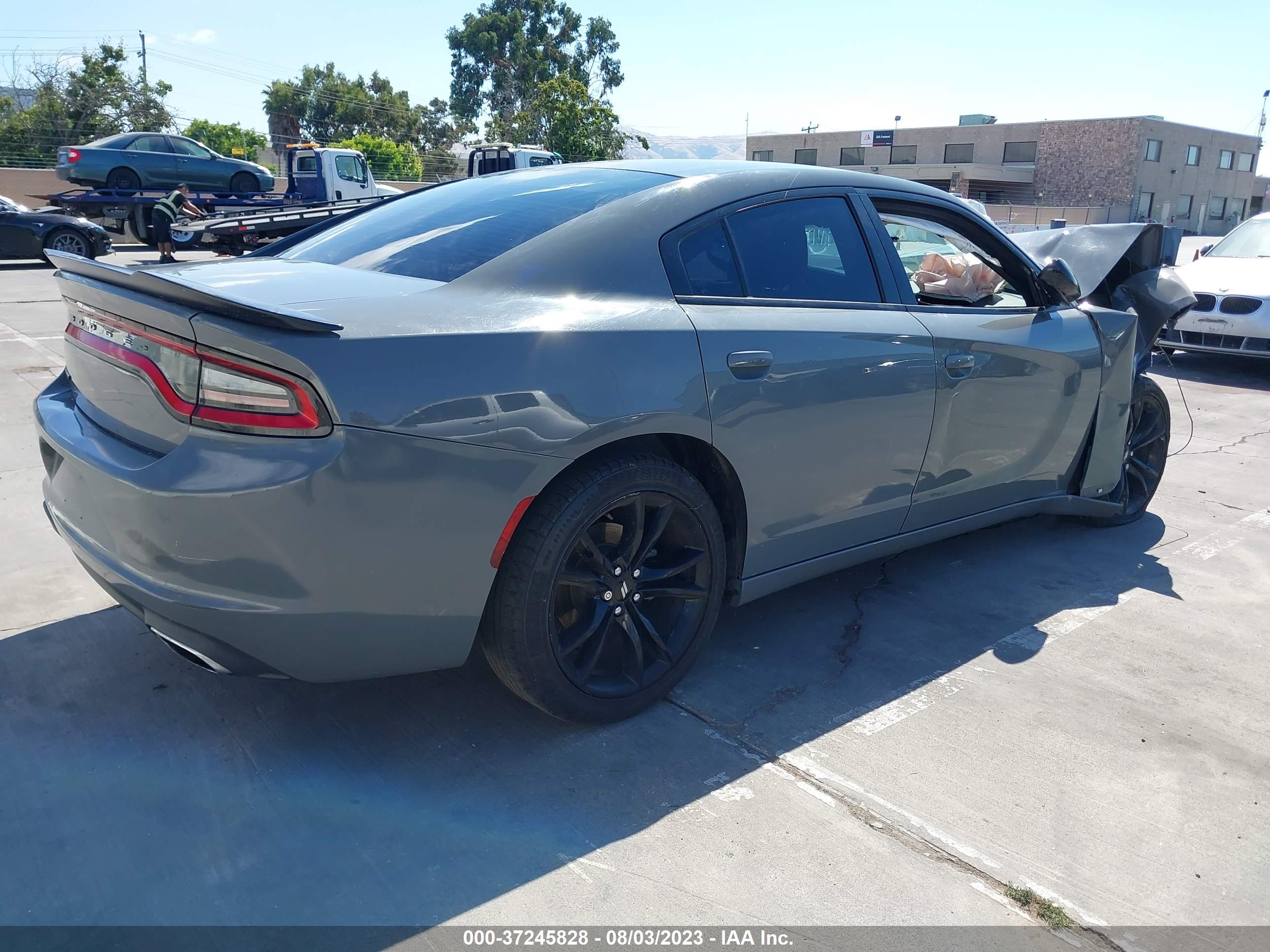 DODGE CHARGER image 4