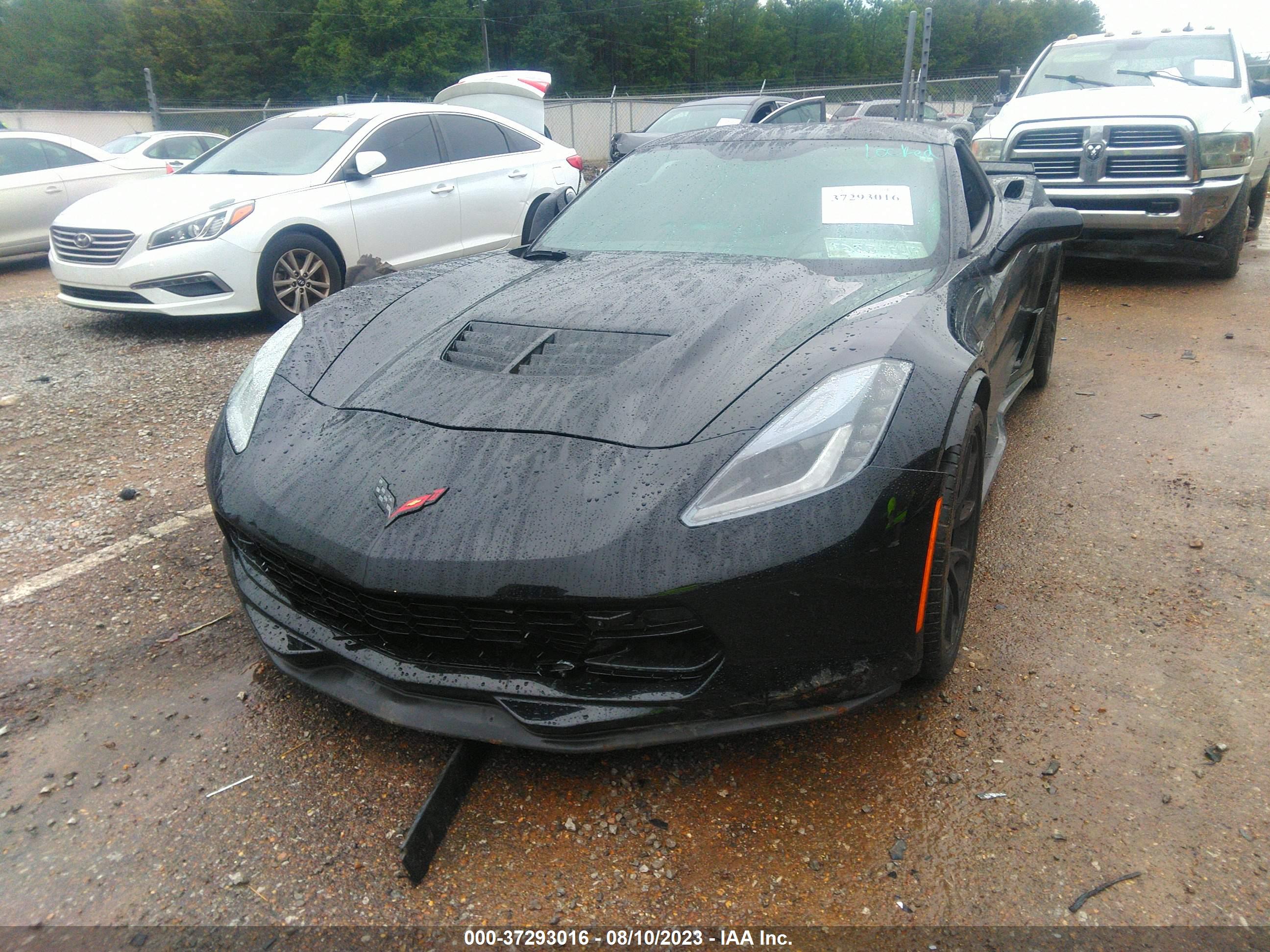 CHEVROLET CORVETTE image 6