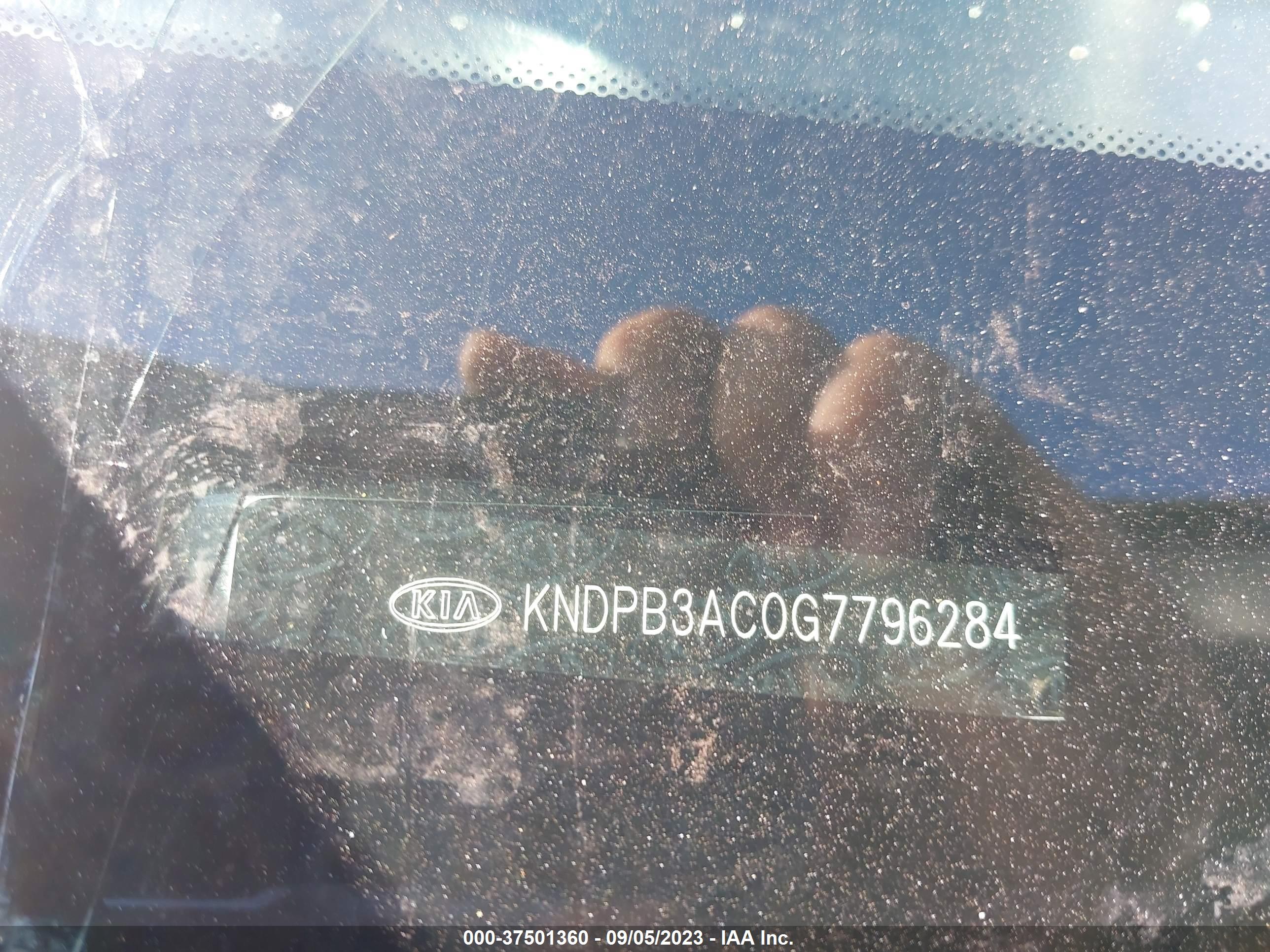 KIA SPORTAGE image 9