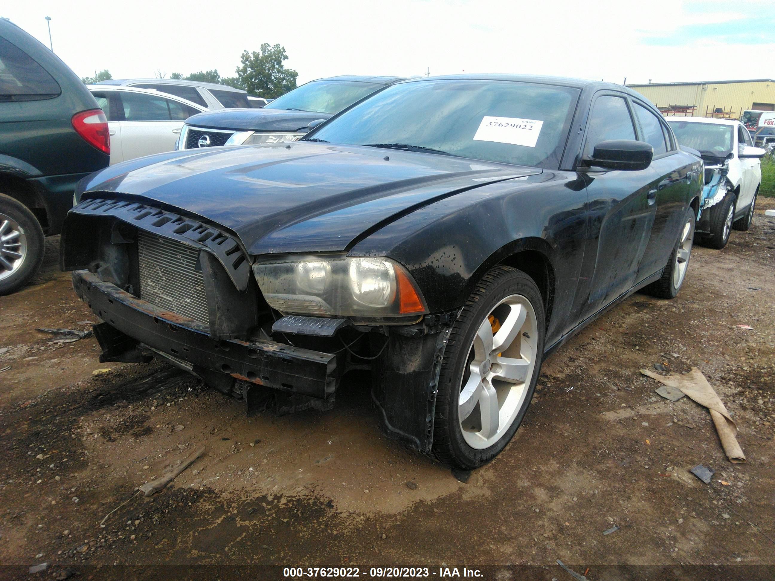 DODGE CHARGER image 2
