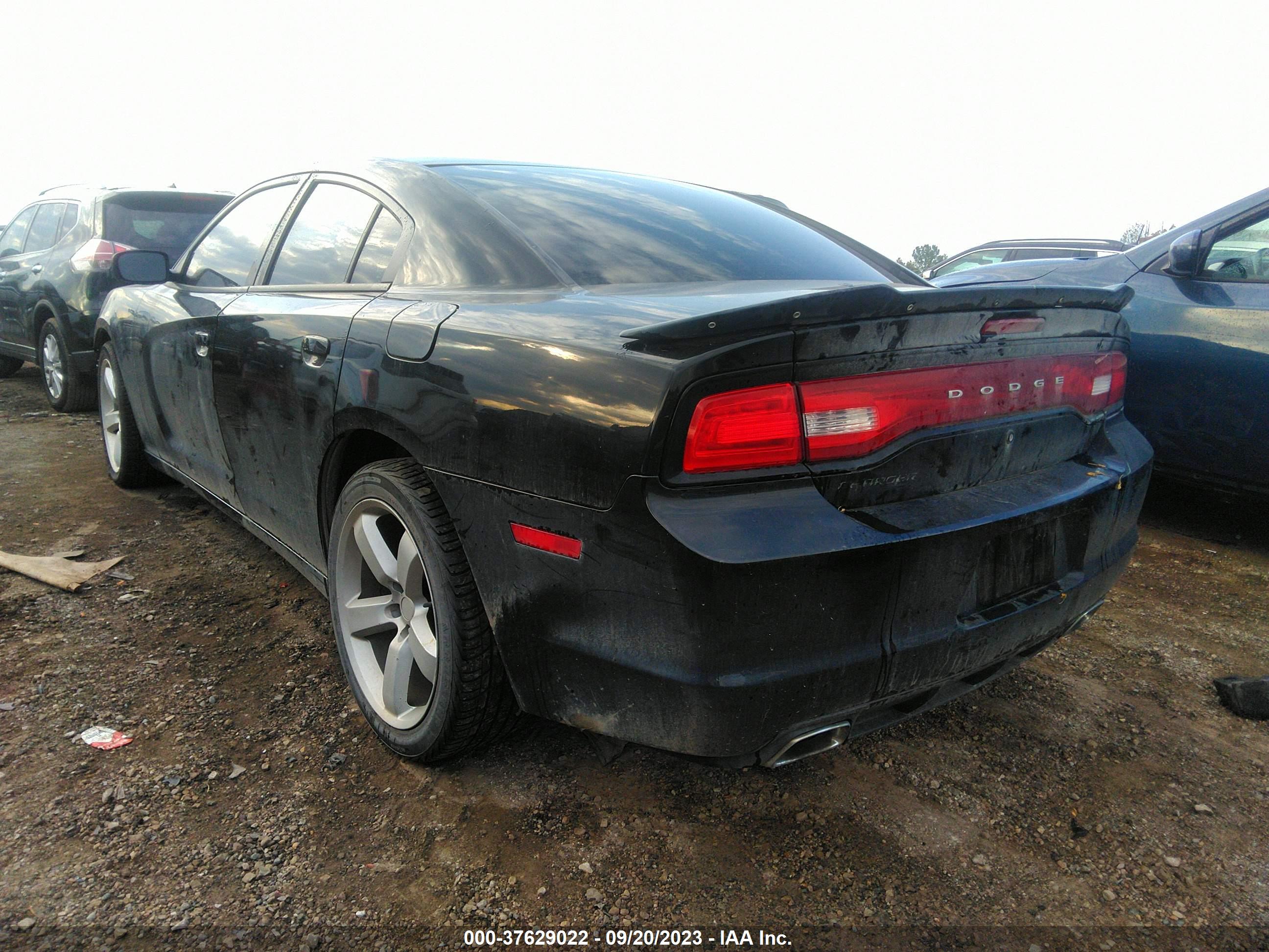 DODGE CHARGER image 3