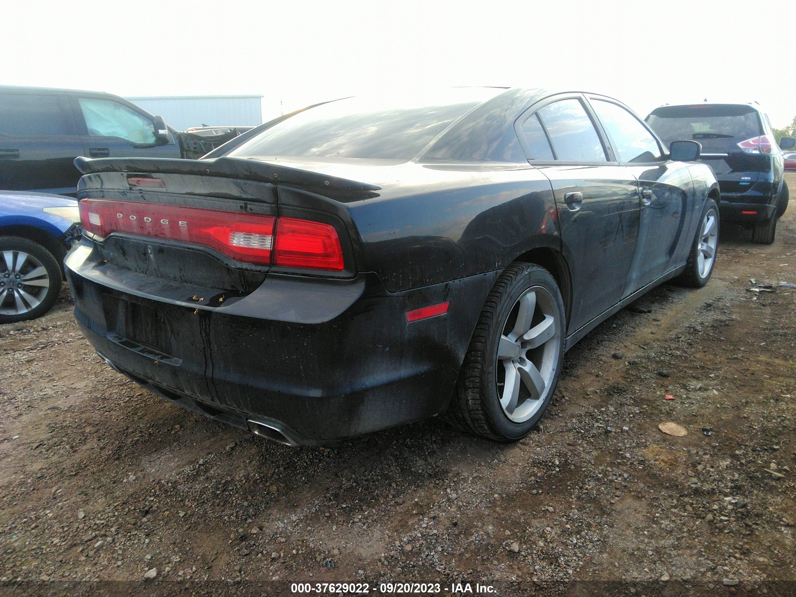 DODGE CHARGER image 4