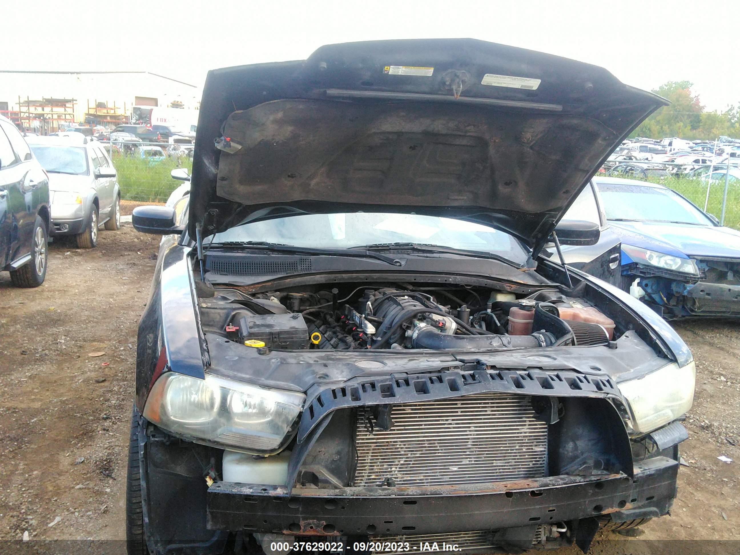 DODGE CHARGER image 6