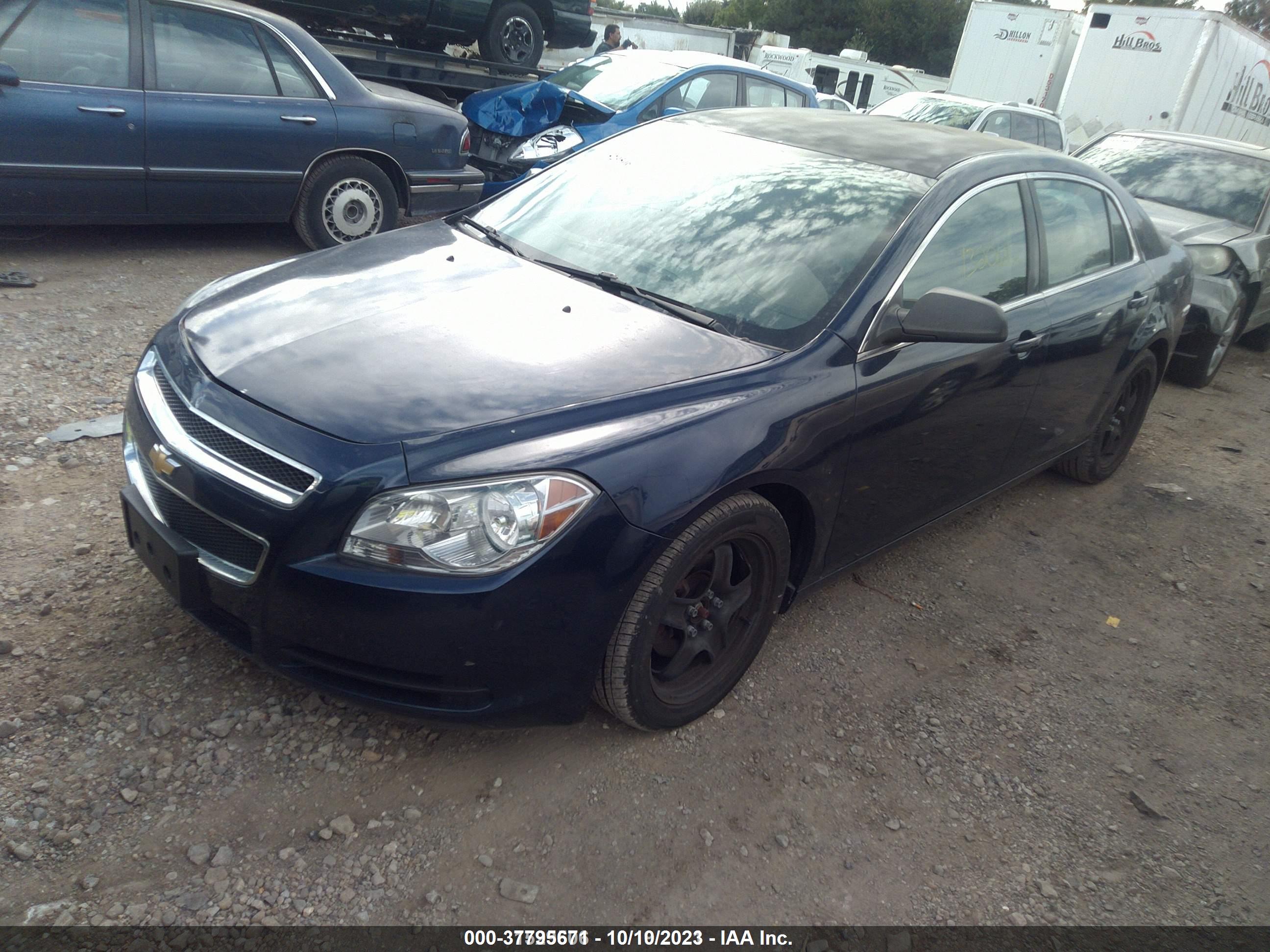 CHEVROLET MALIBU image 2