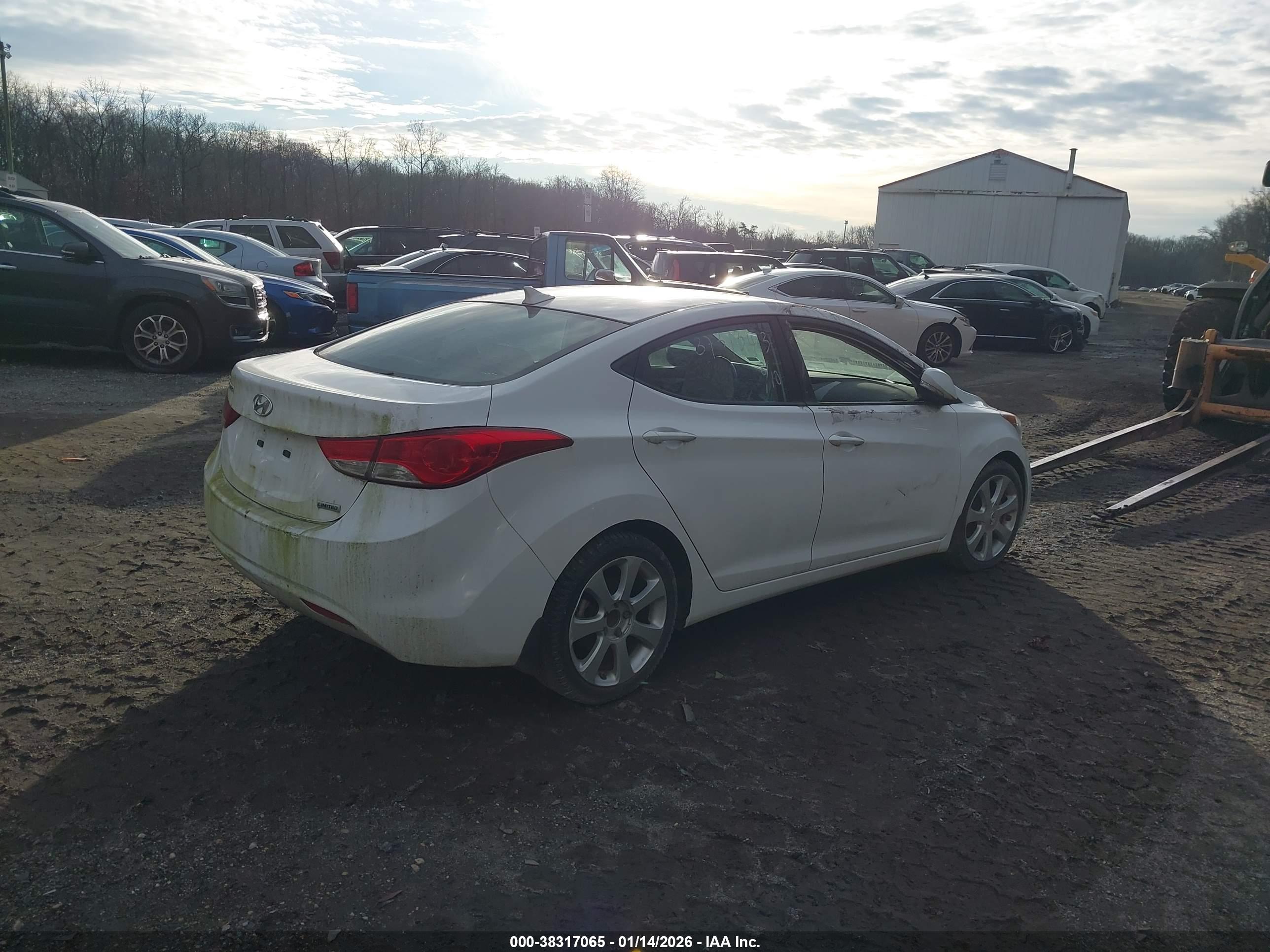 HYUNDAI ELANTRA image 4