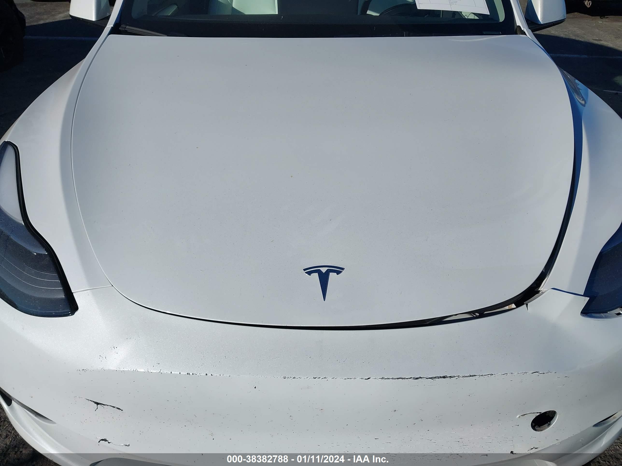 TESLA MODEL image 10