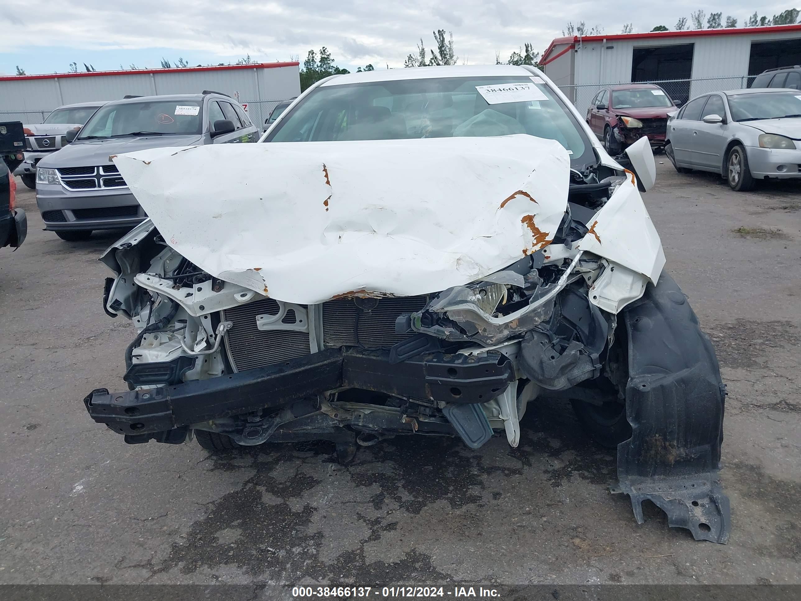 TOYOTA COROLLA image 6