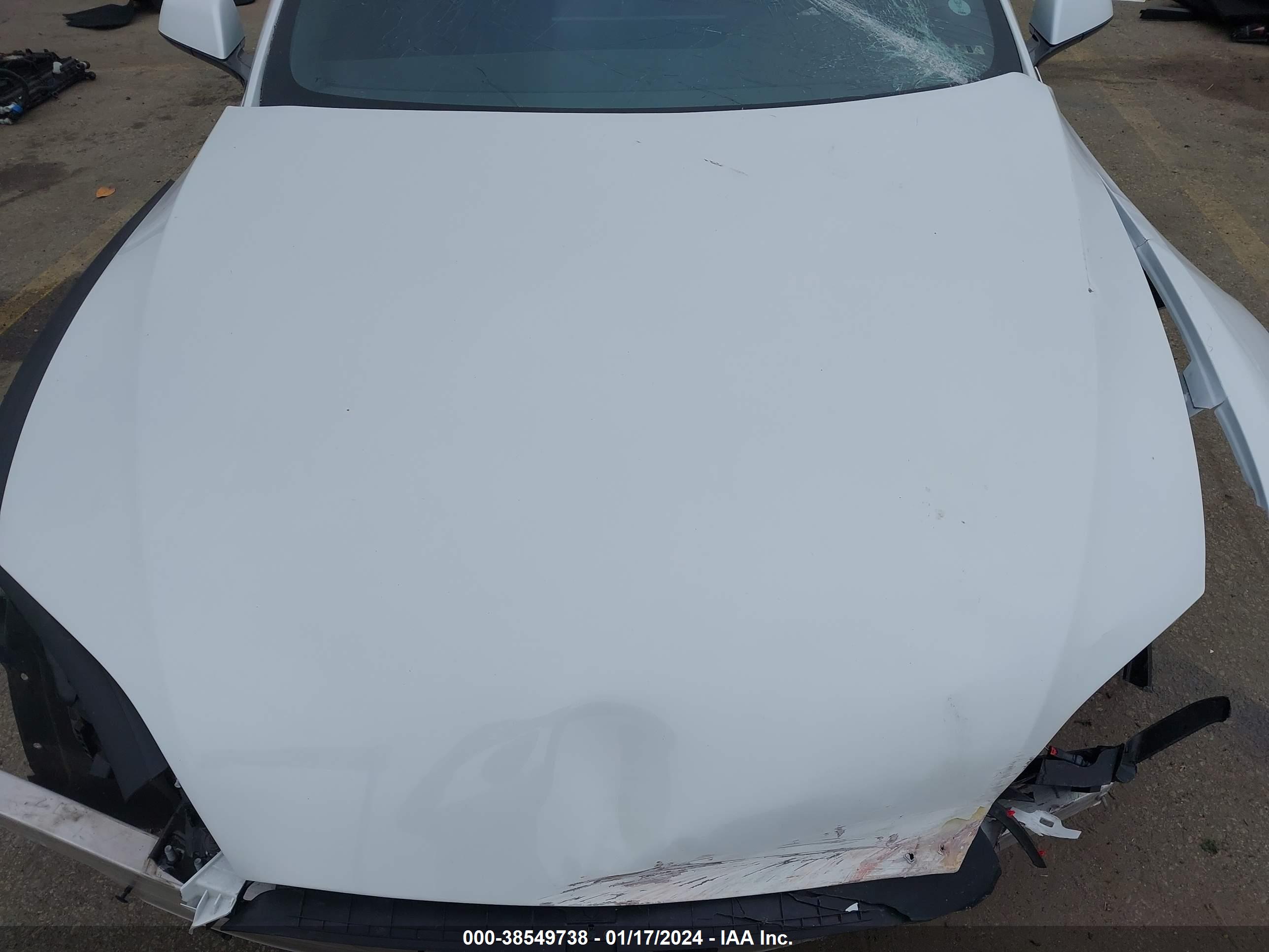 TESLA MODEL image 10