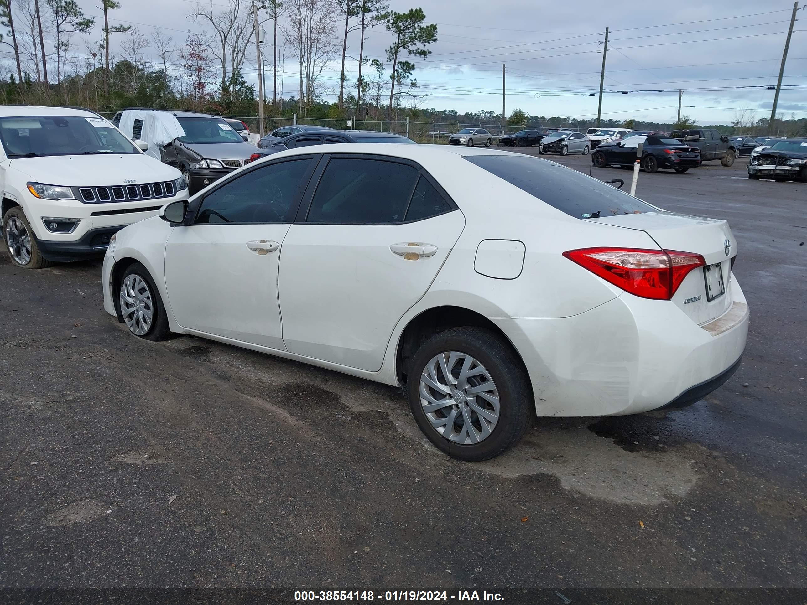 TOYOTA COROLLA image 3