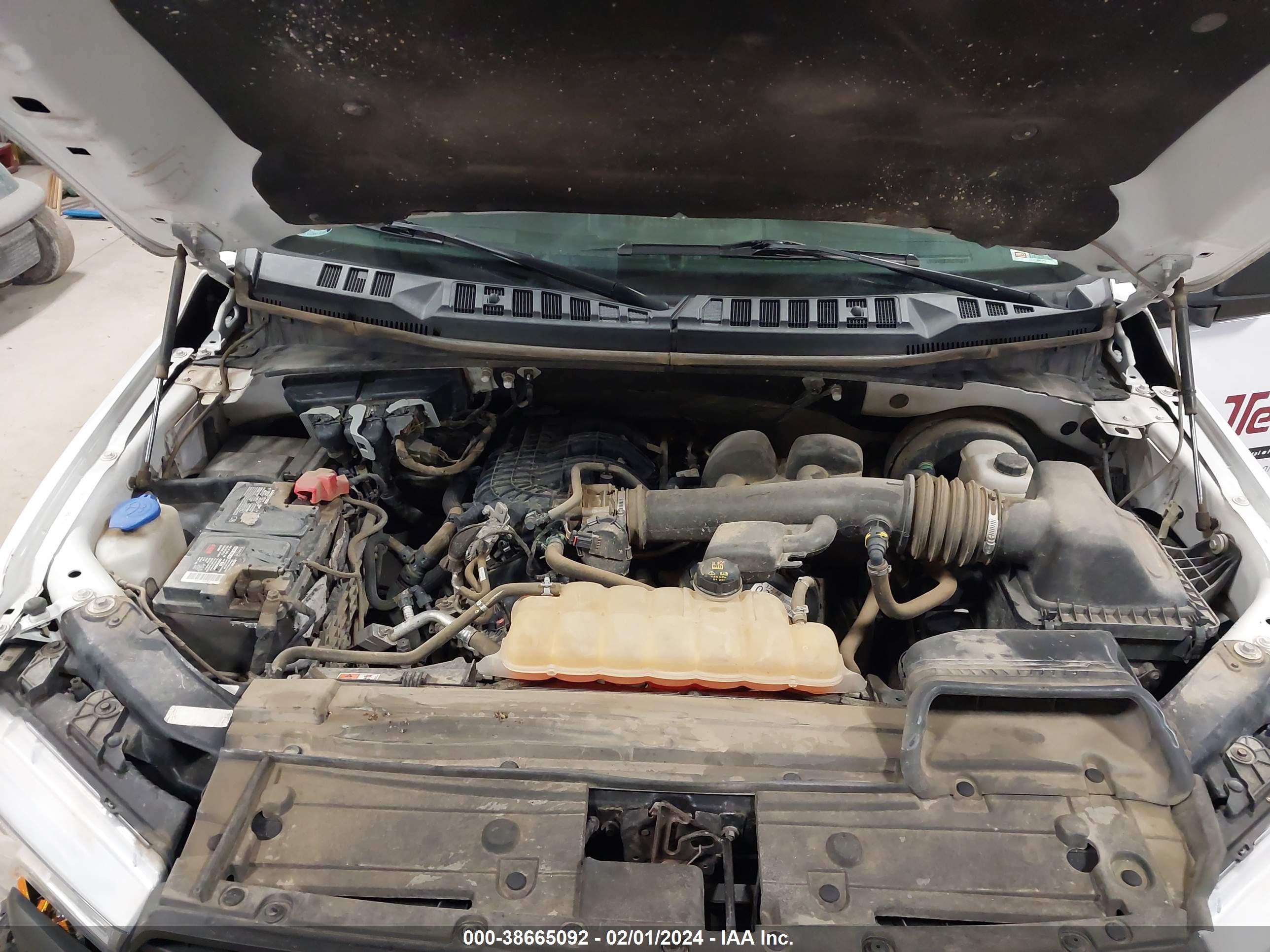FORD F-150 image 10