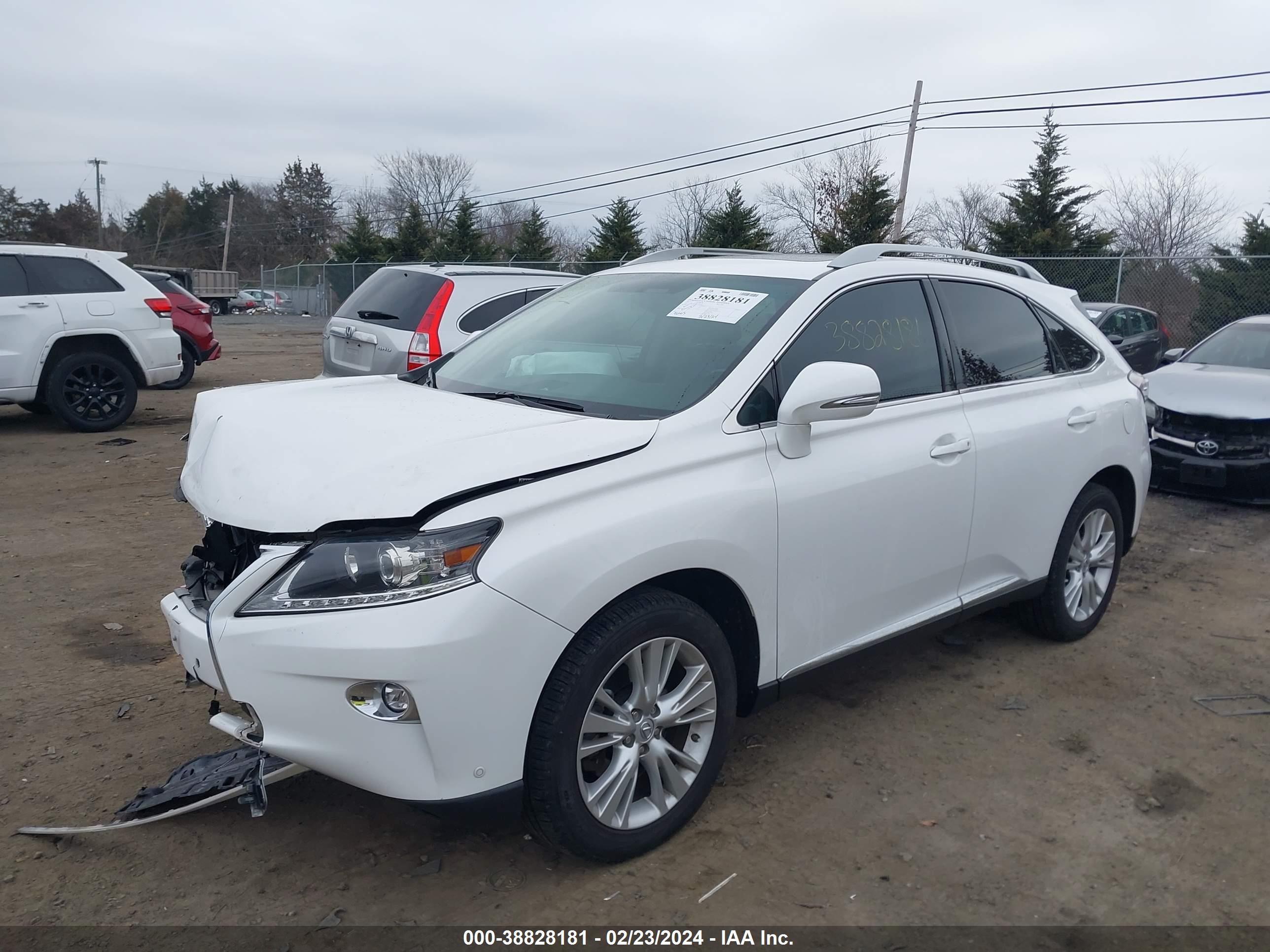 LEXUS RX image 2