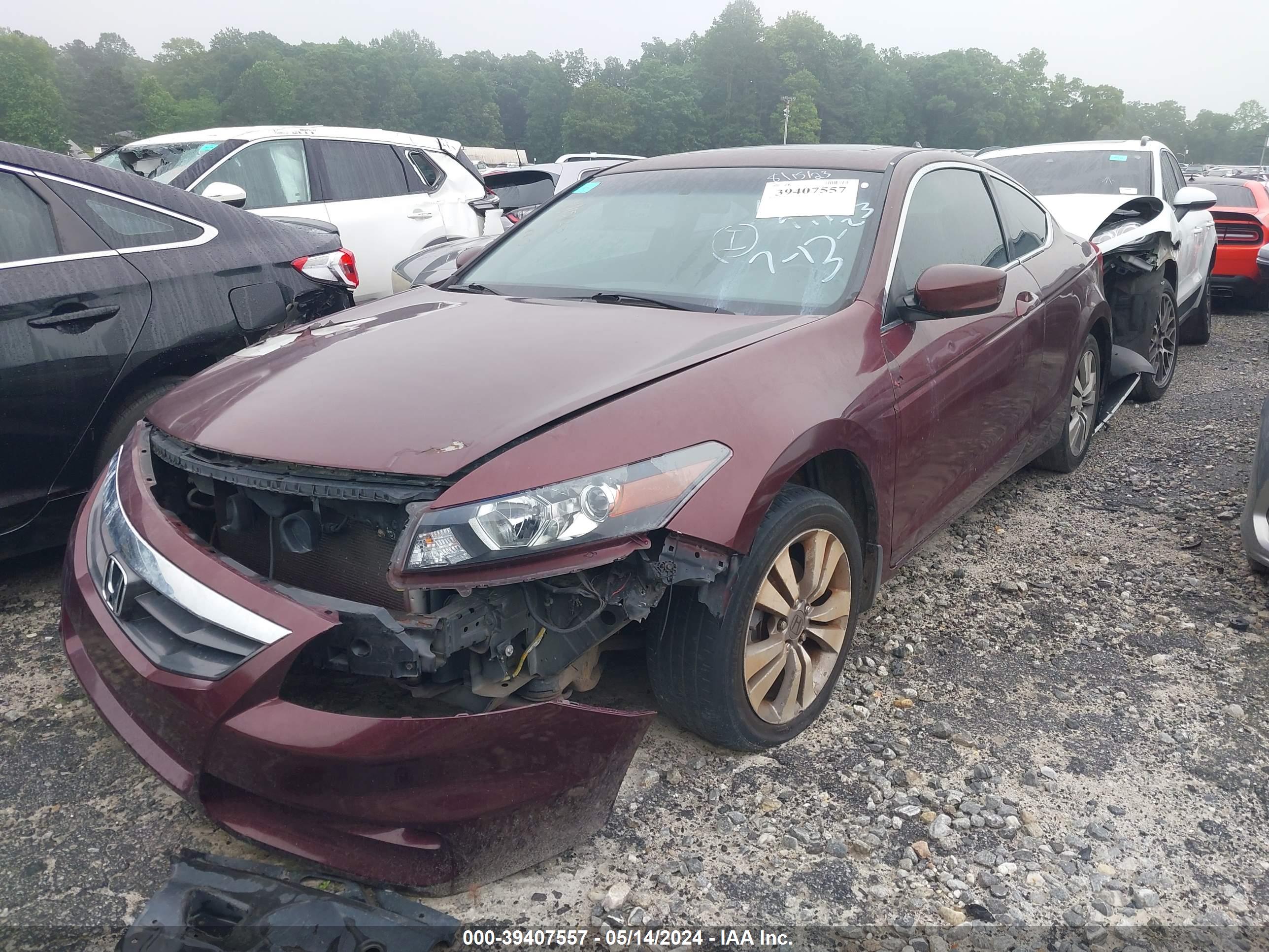 HONDA ACCORD image 2