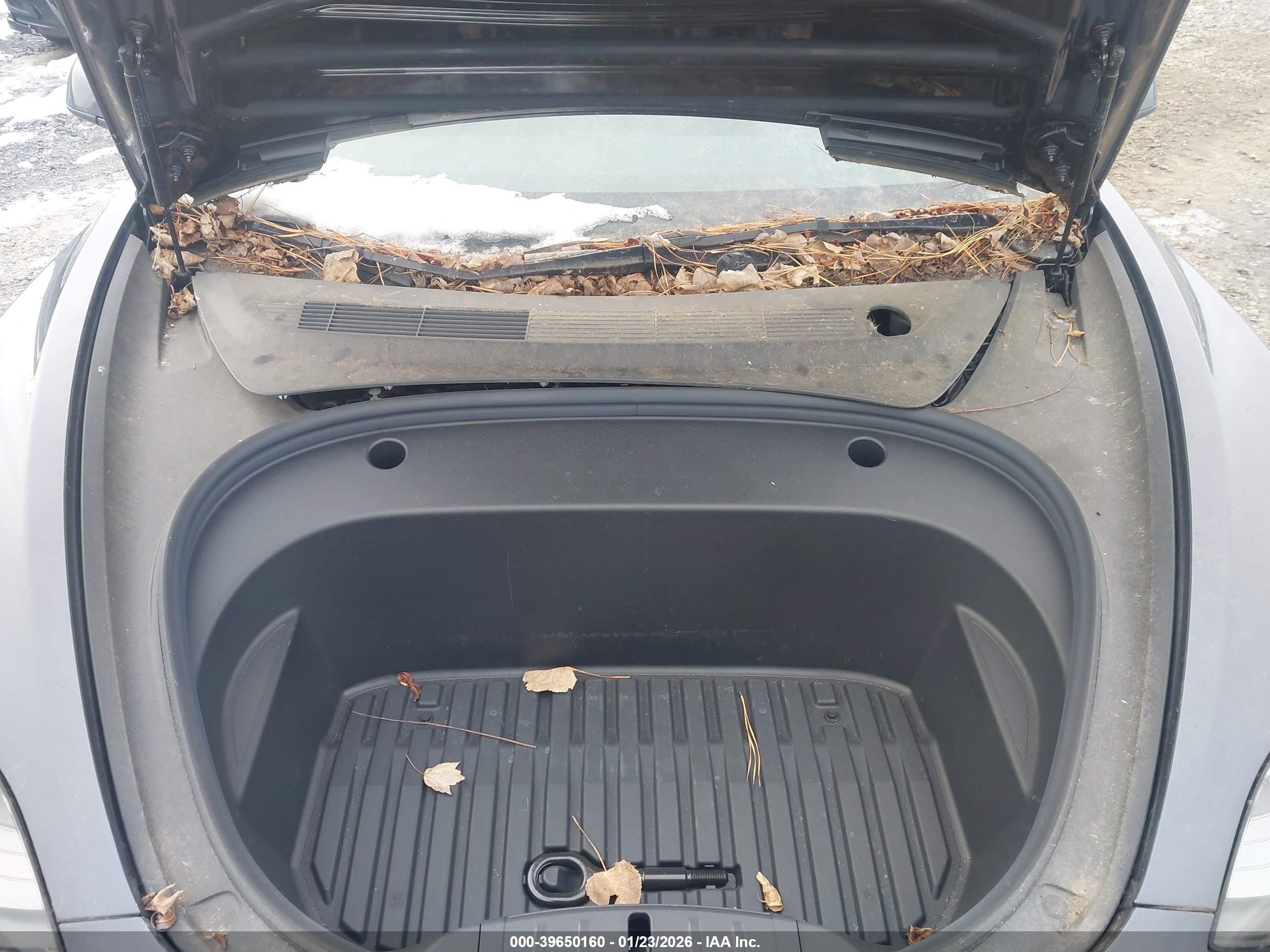 TESLA MODEL image 10