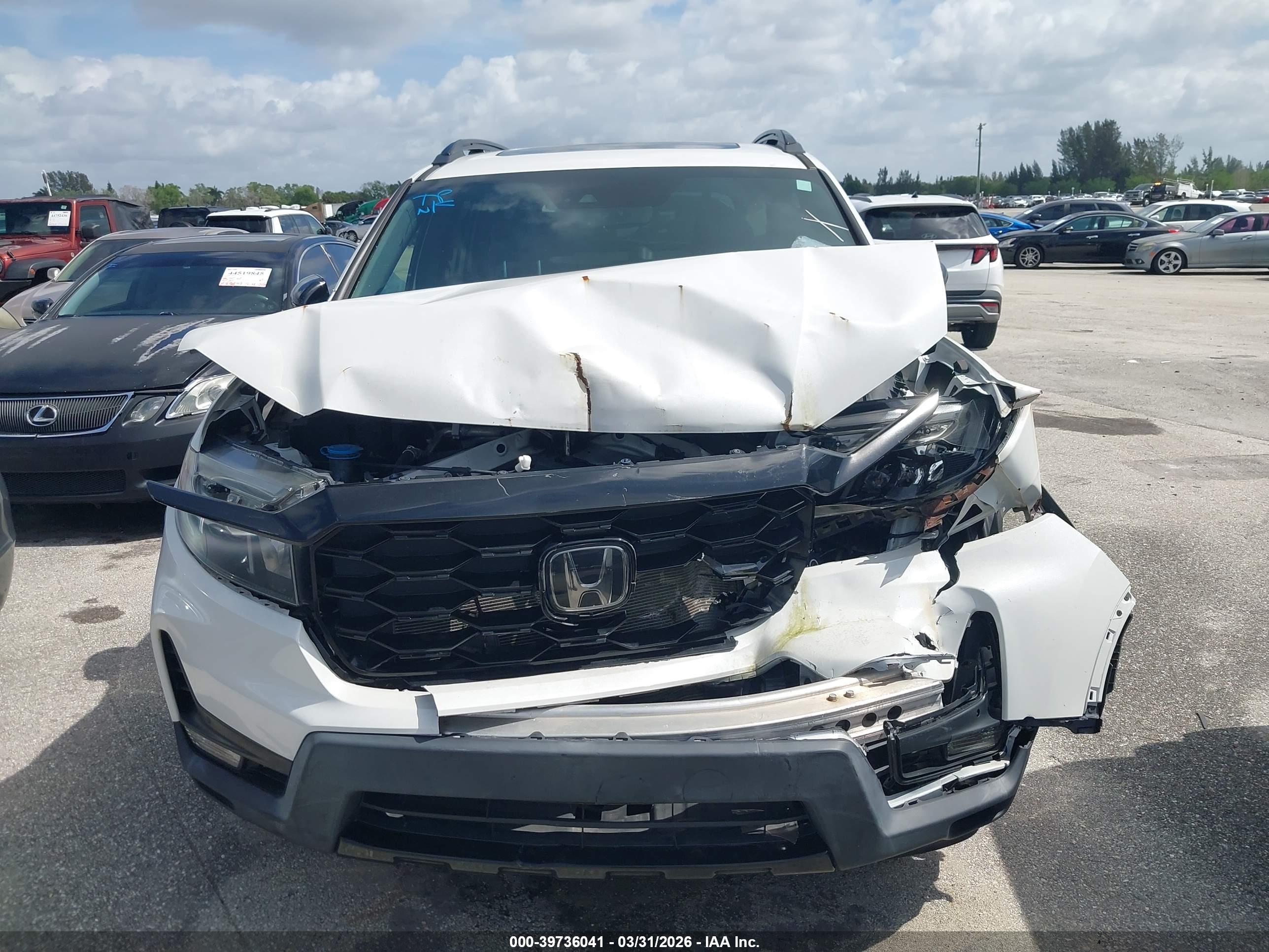 HONDA PASSPORT image 6