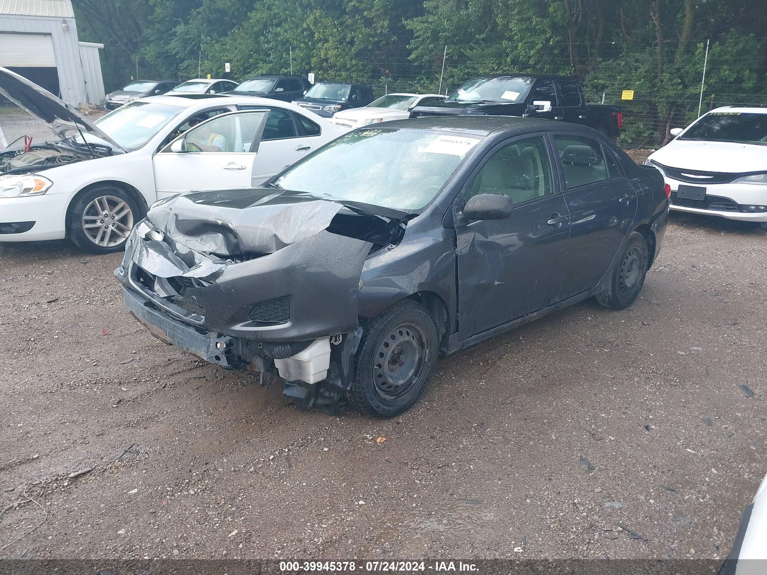 TOYOTA COROLLA image 2