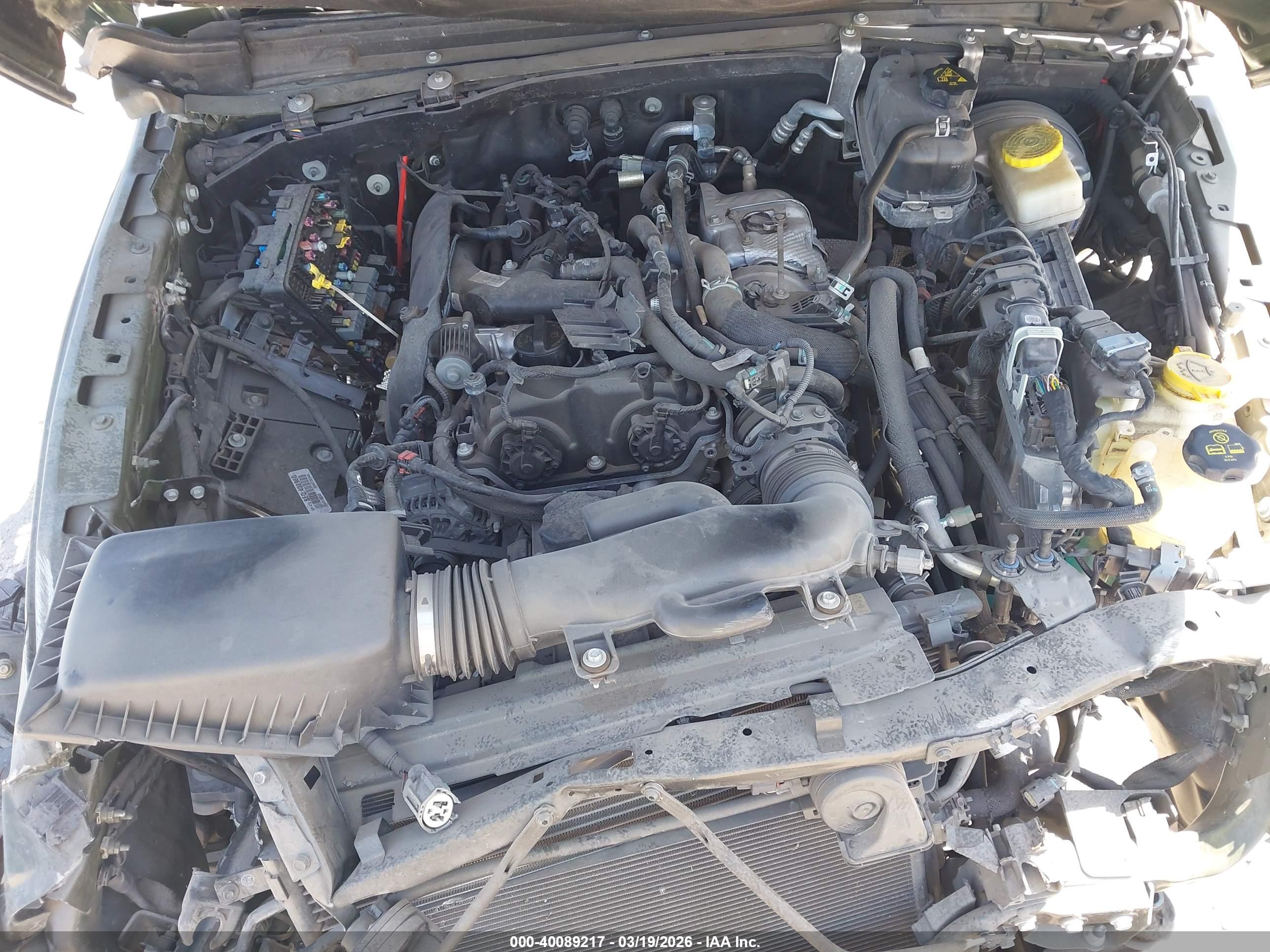 JEEP WRANGLER image 10
