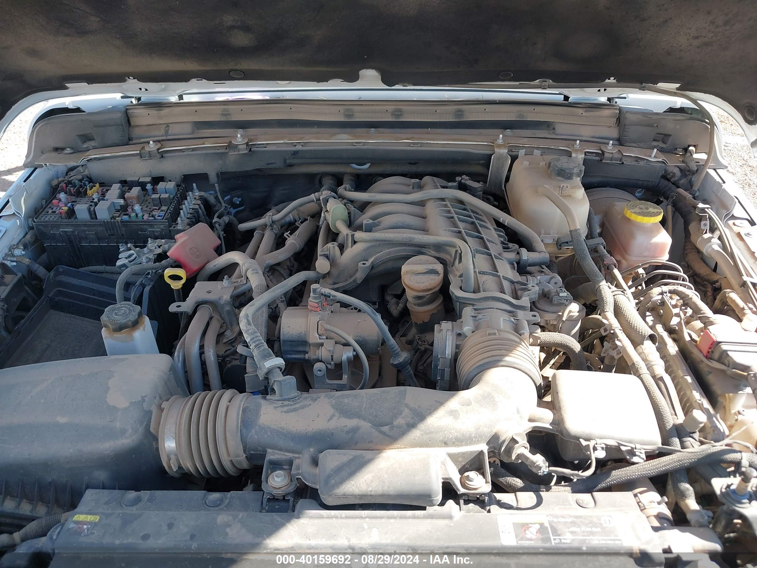 JEEP WRANGLER image 10