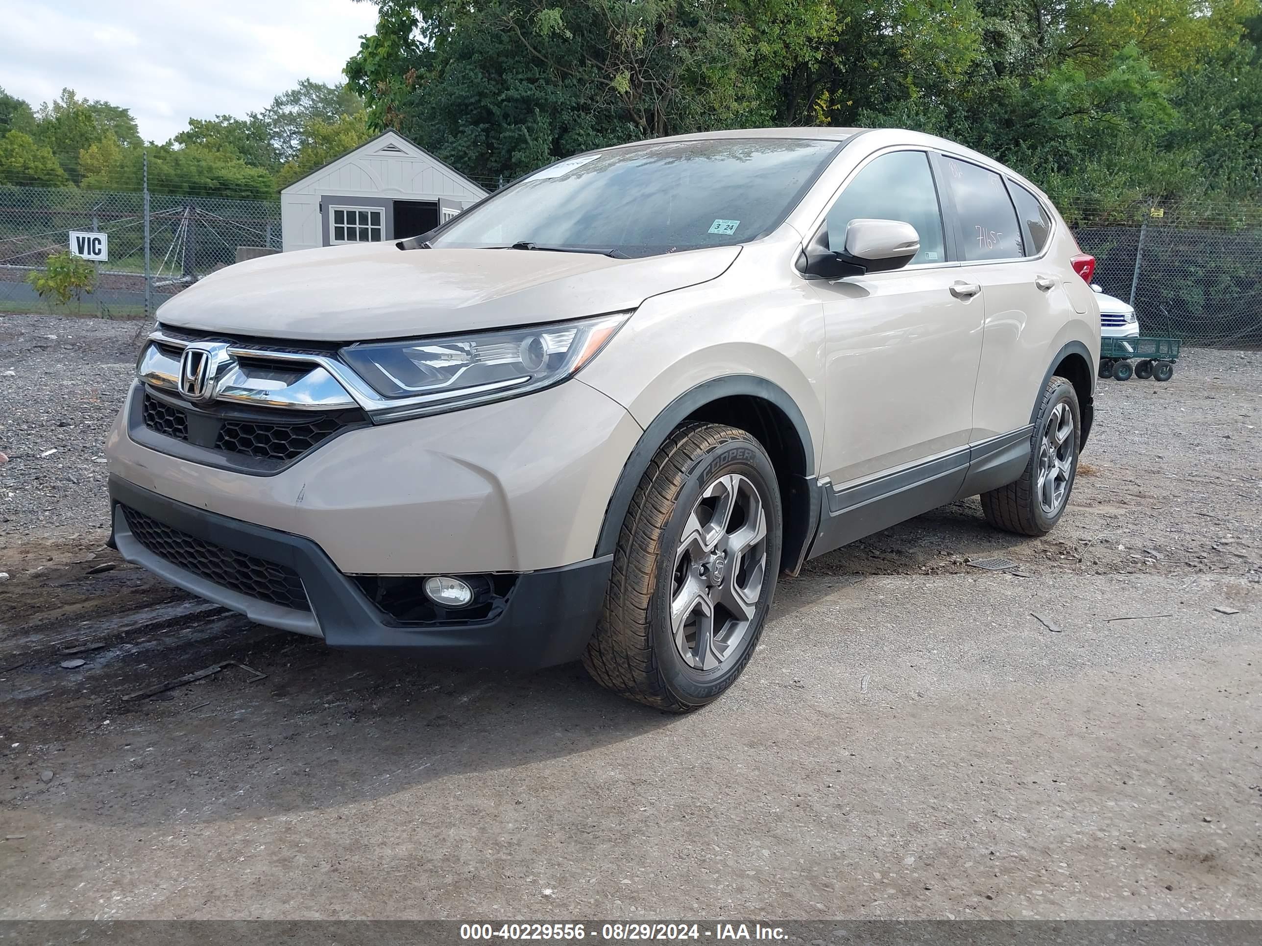 HONDA CR-V image 6
