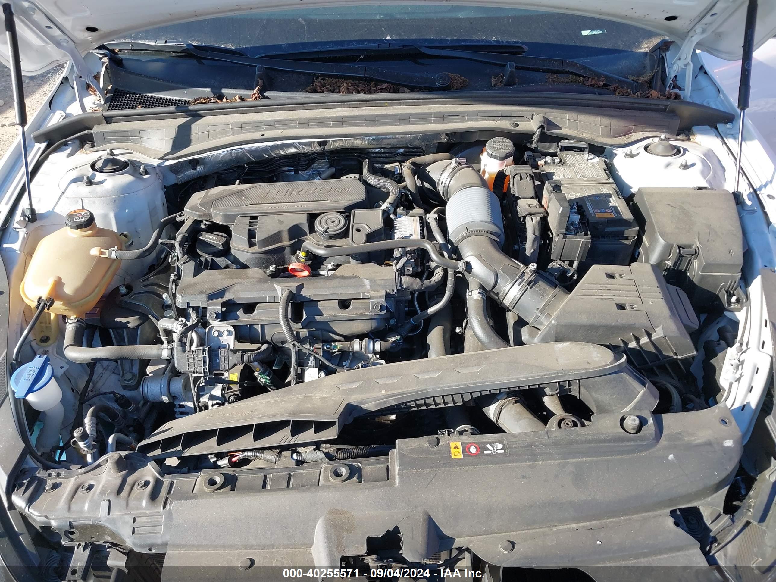 KIA K5 image 10
