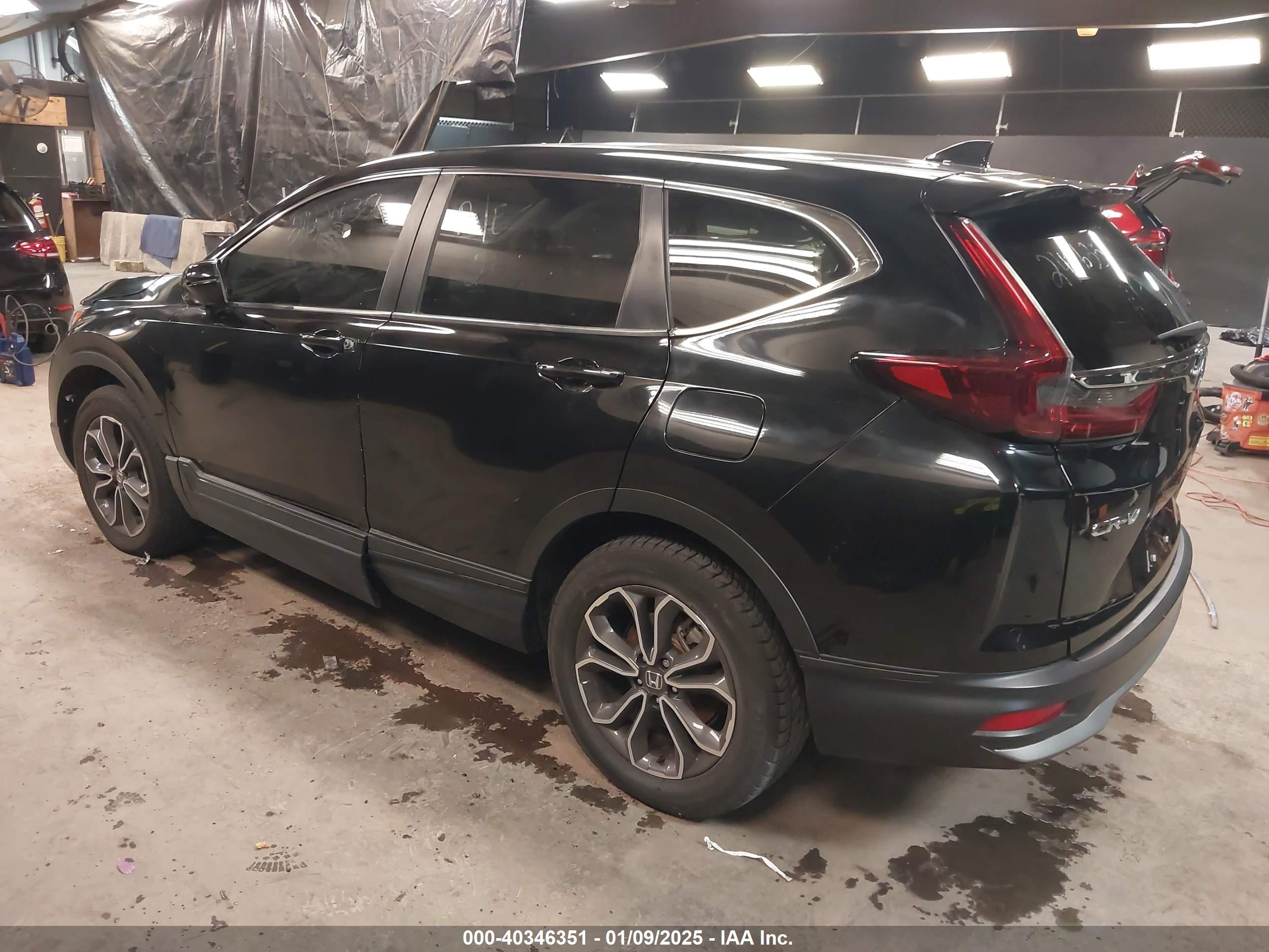 HONDA CR-V image 3