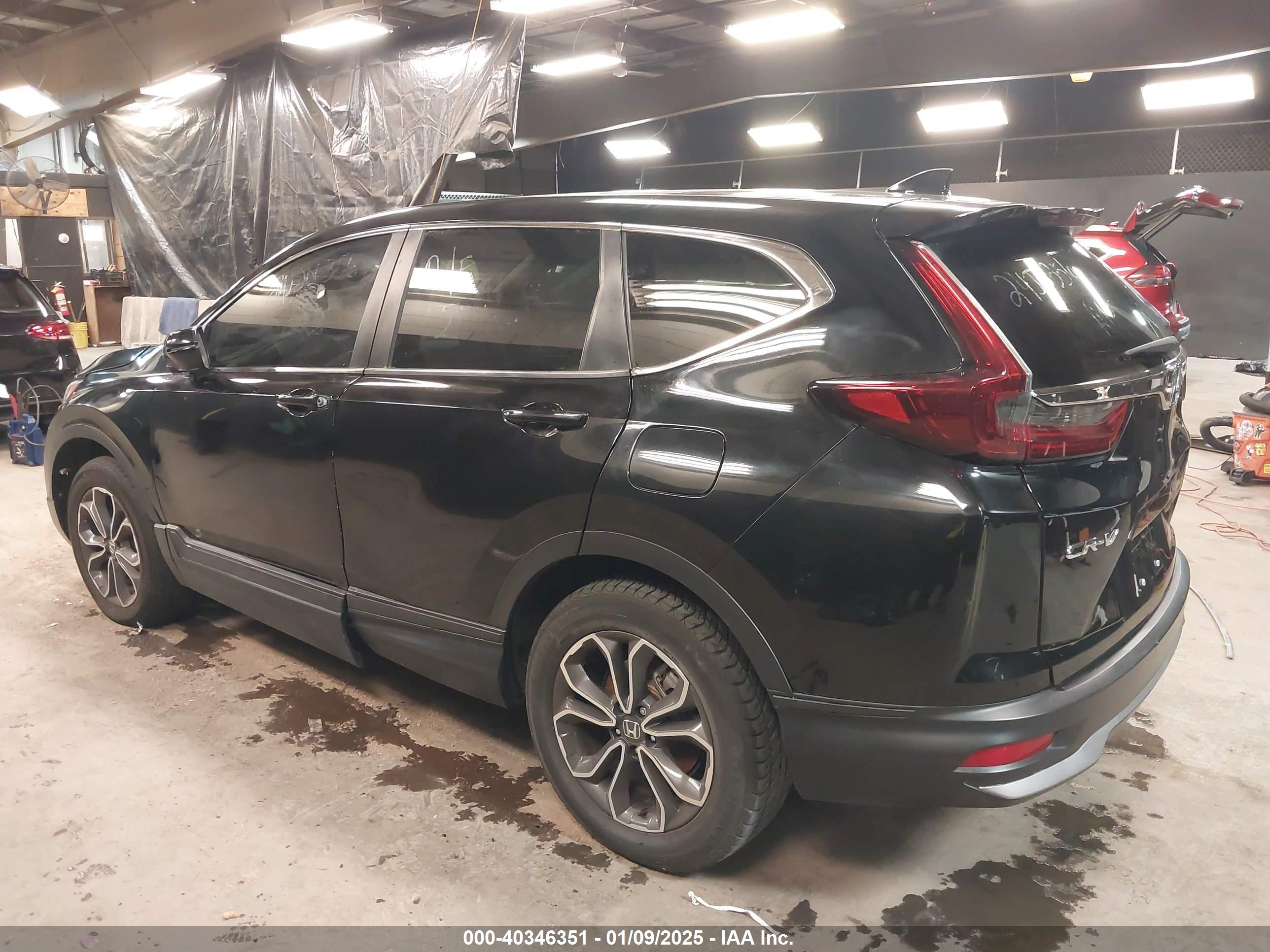 HONDA CR-V image 6