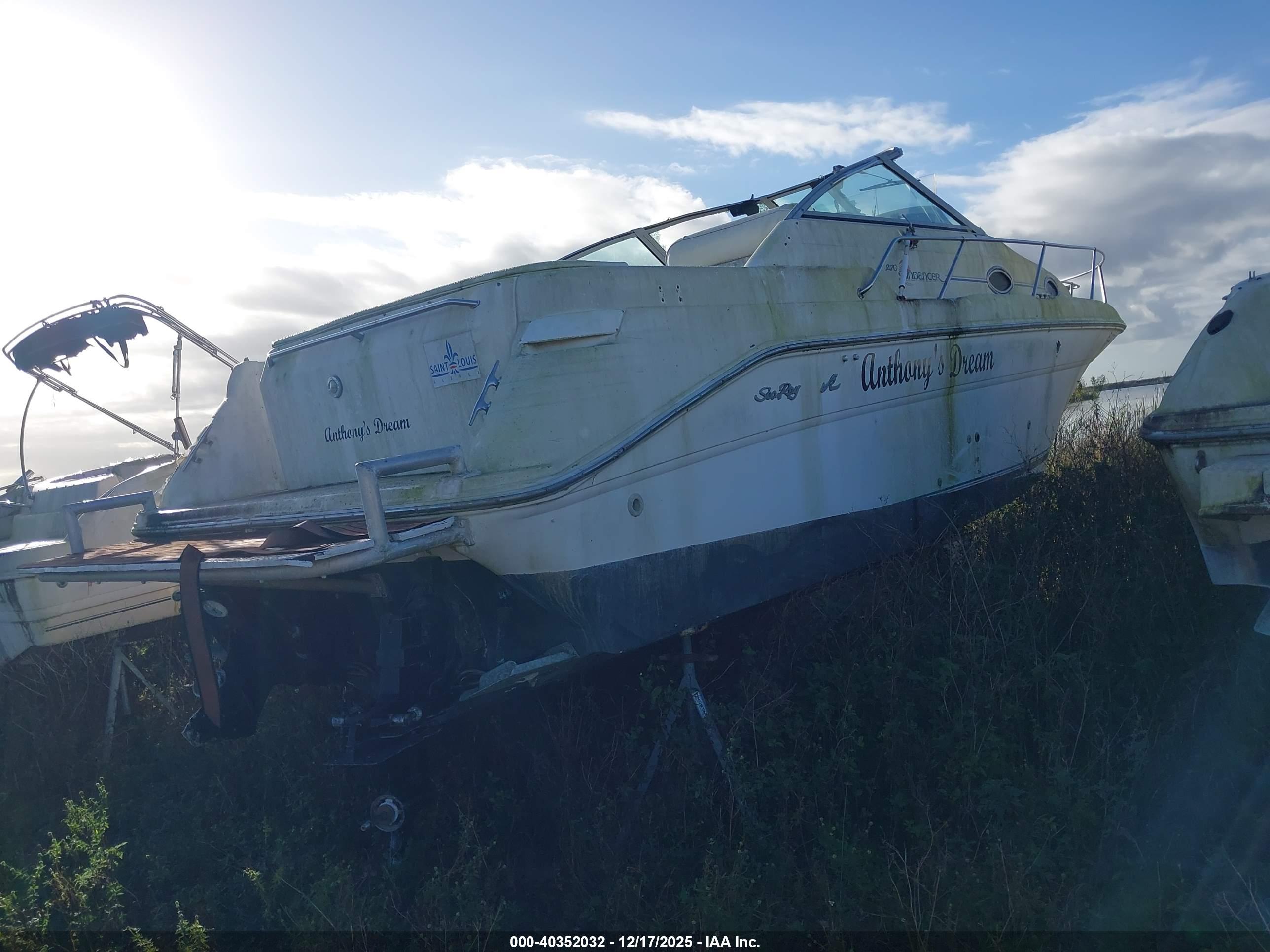 SEA RAY image 4
