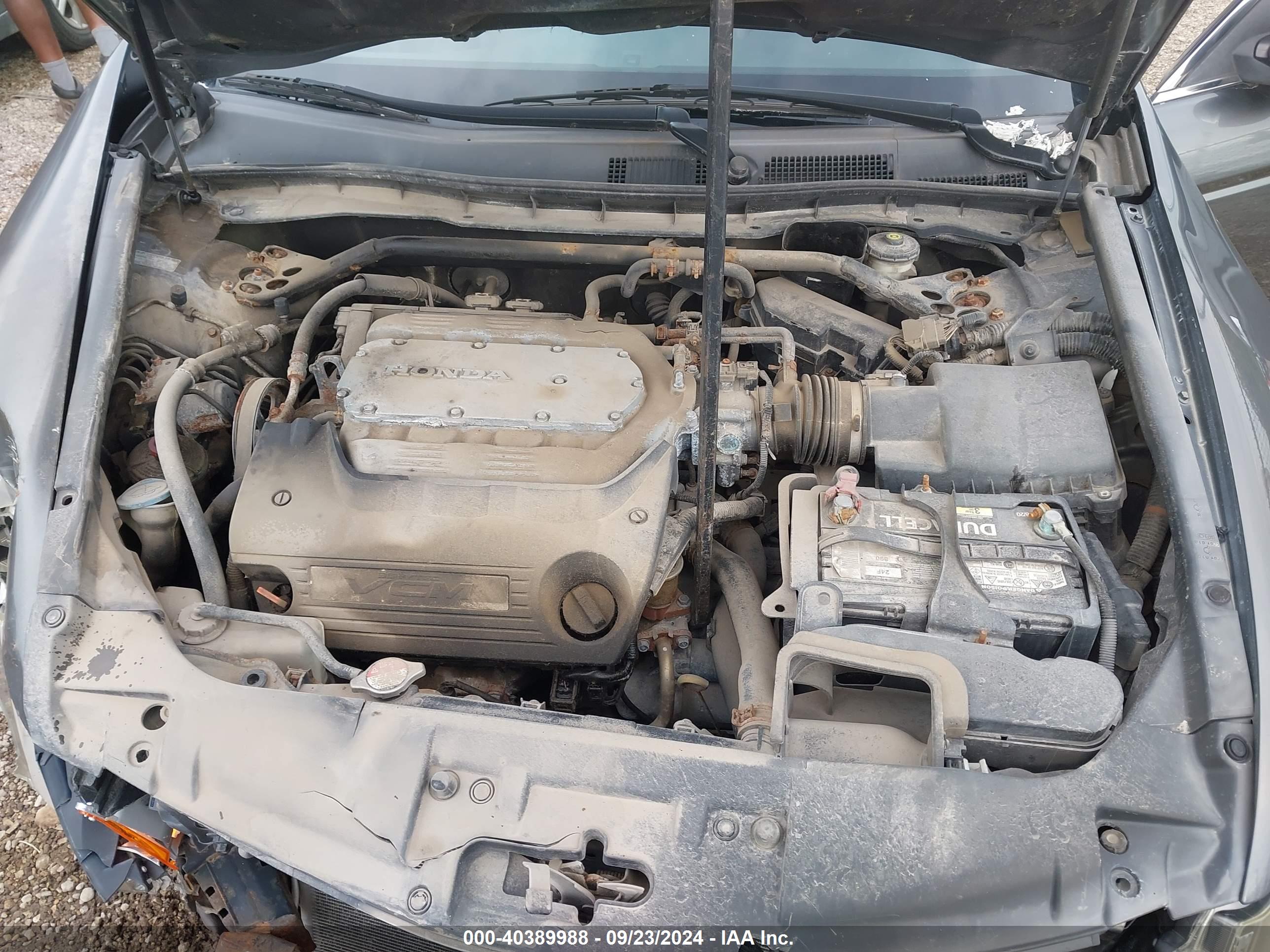 HONDA ACCORD image 10