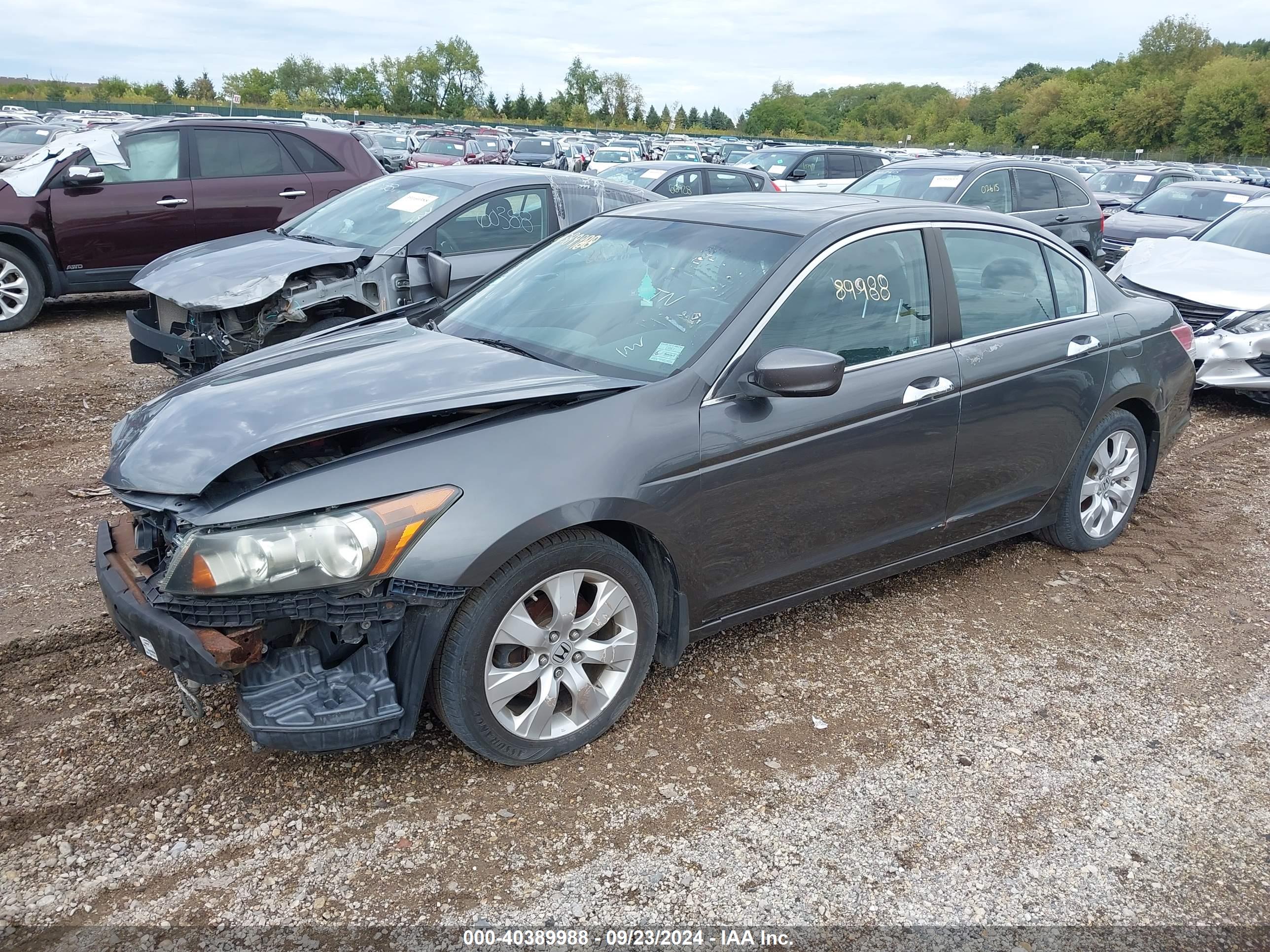 HONDA ACCORD image 2