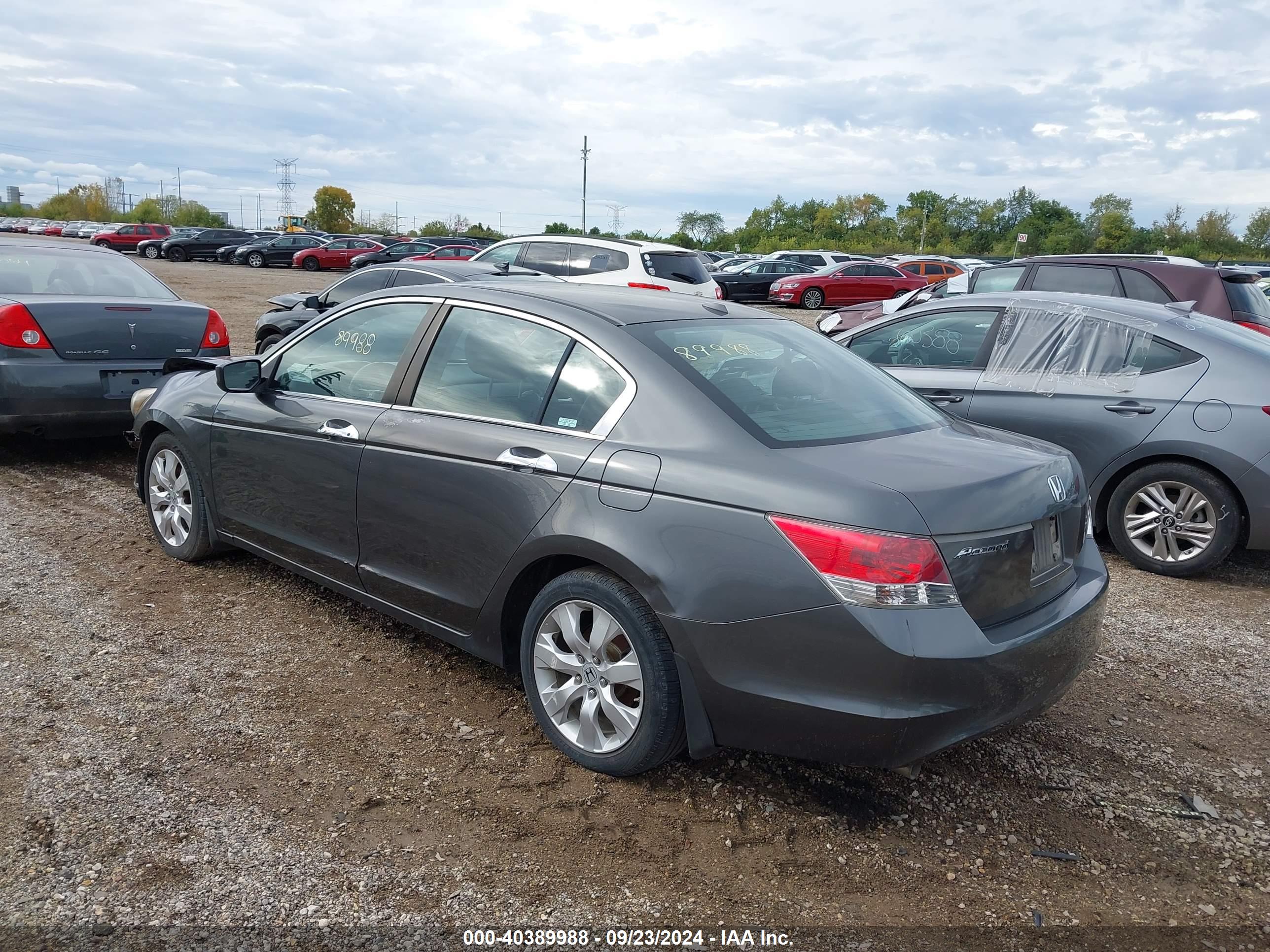 HONDA ACCORD image 3