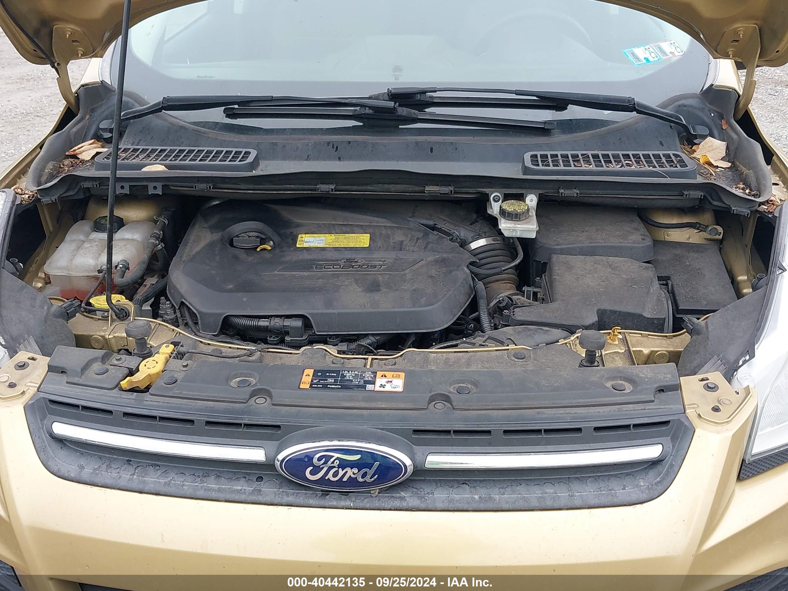 FORD ESCAPE image 10
