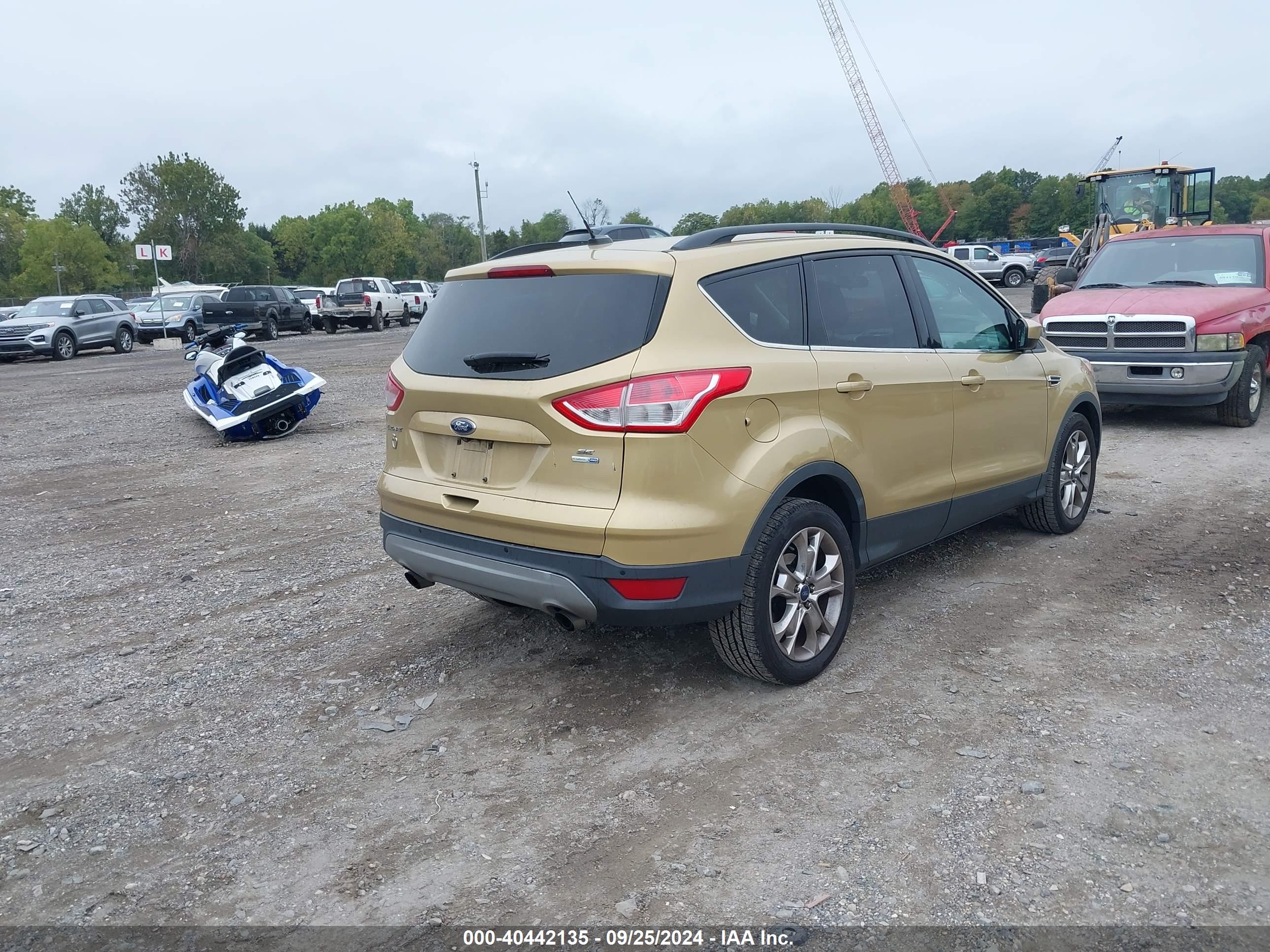 FORD ESCAPE image 4