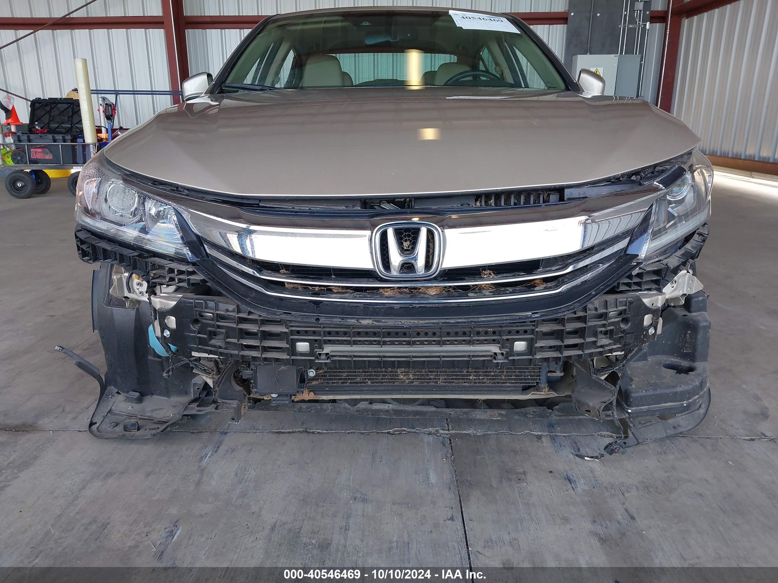 HONDA ACCORD image 6