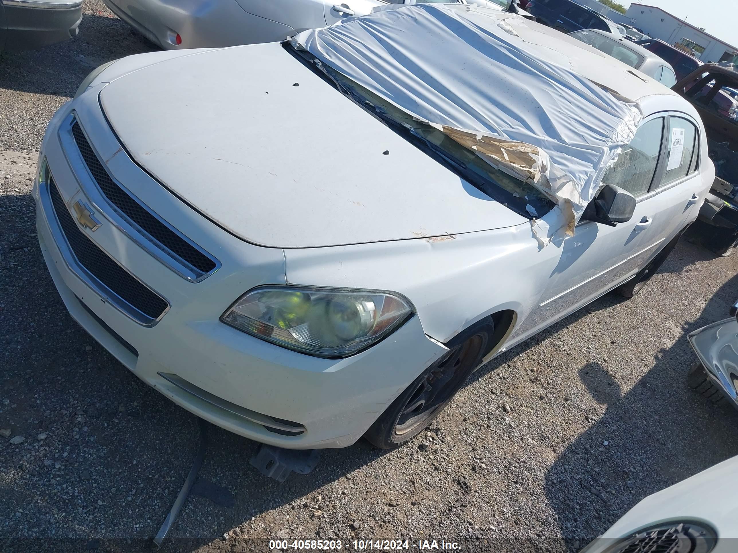 CHEVROLET MALIBU image 2