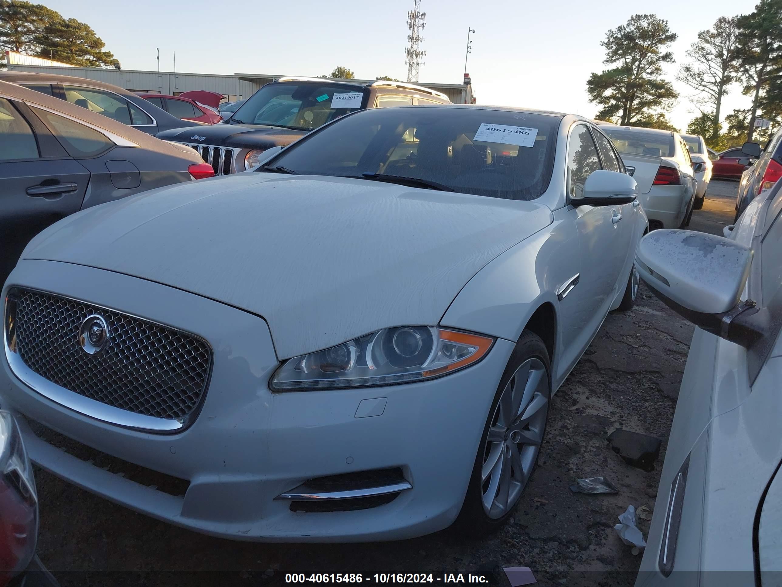 JAGUAR XJ image 2