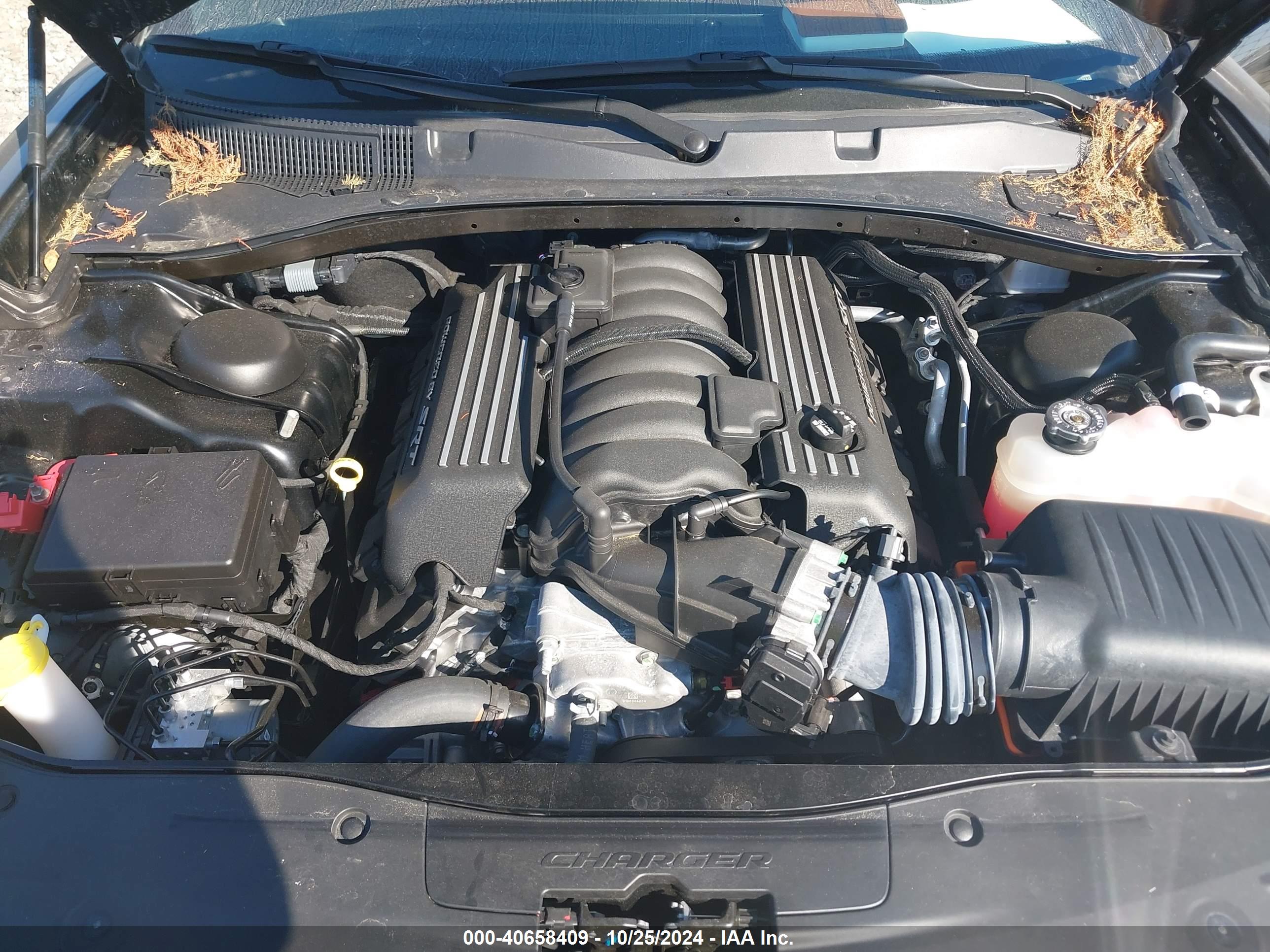 DODGE CHARGER image 10
