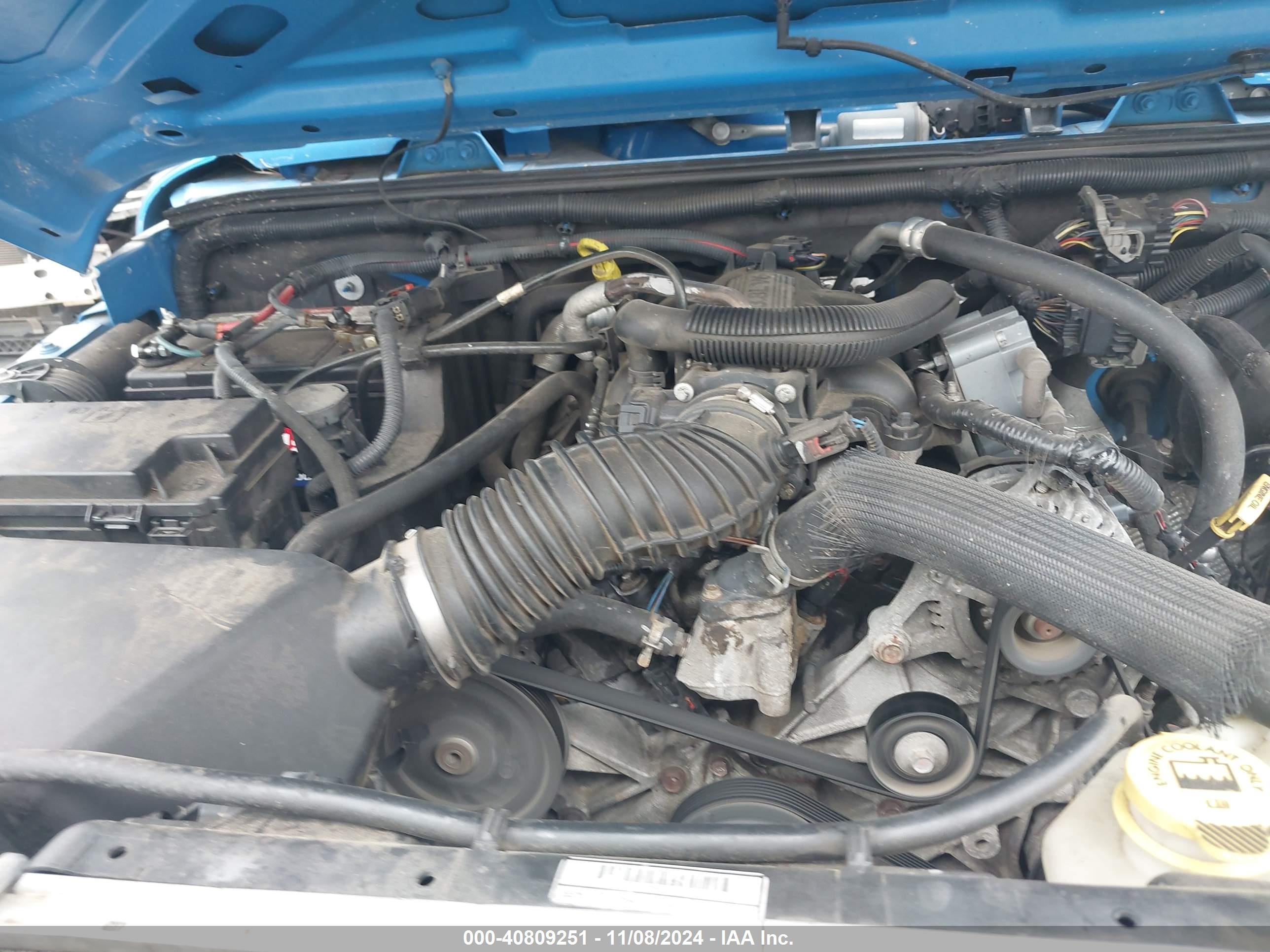 JEEP WRANGLER image 10